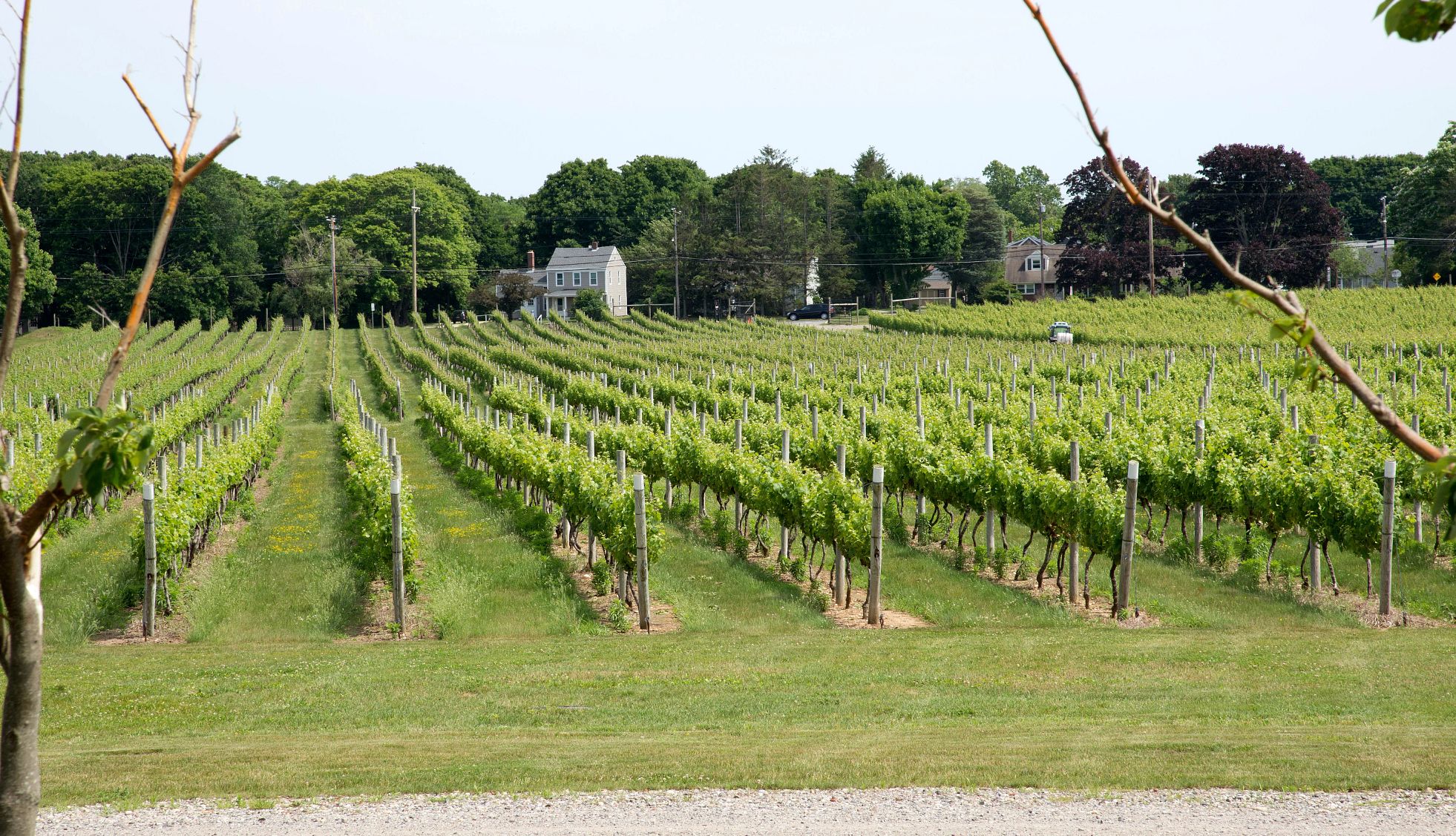 Kontokosta Winery in Long Island, NY