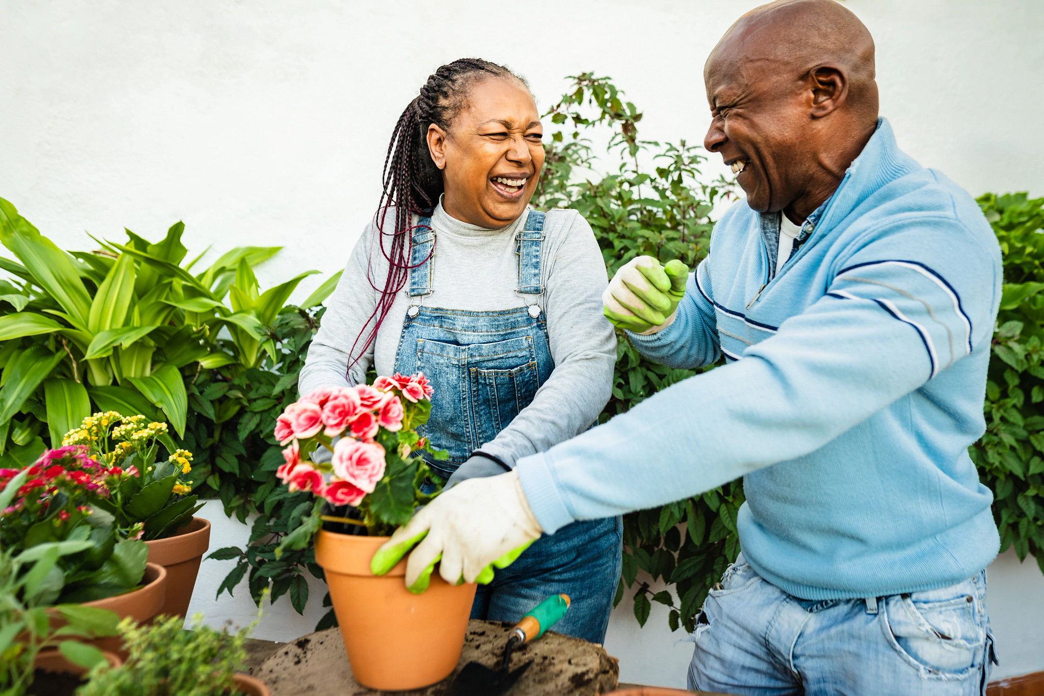 Virtual Class: Flower Arrangements Event Image
