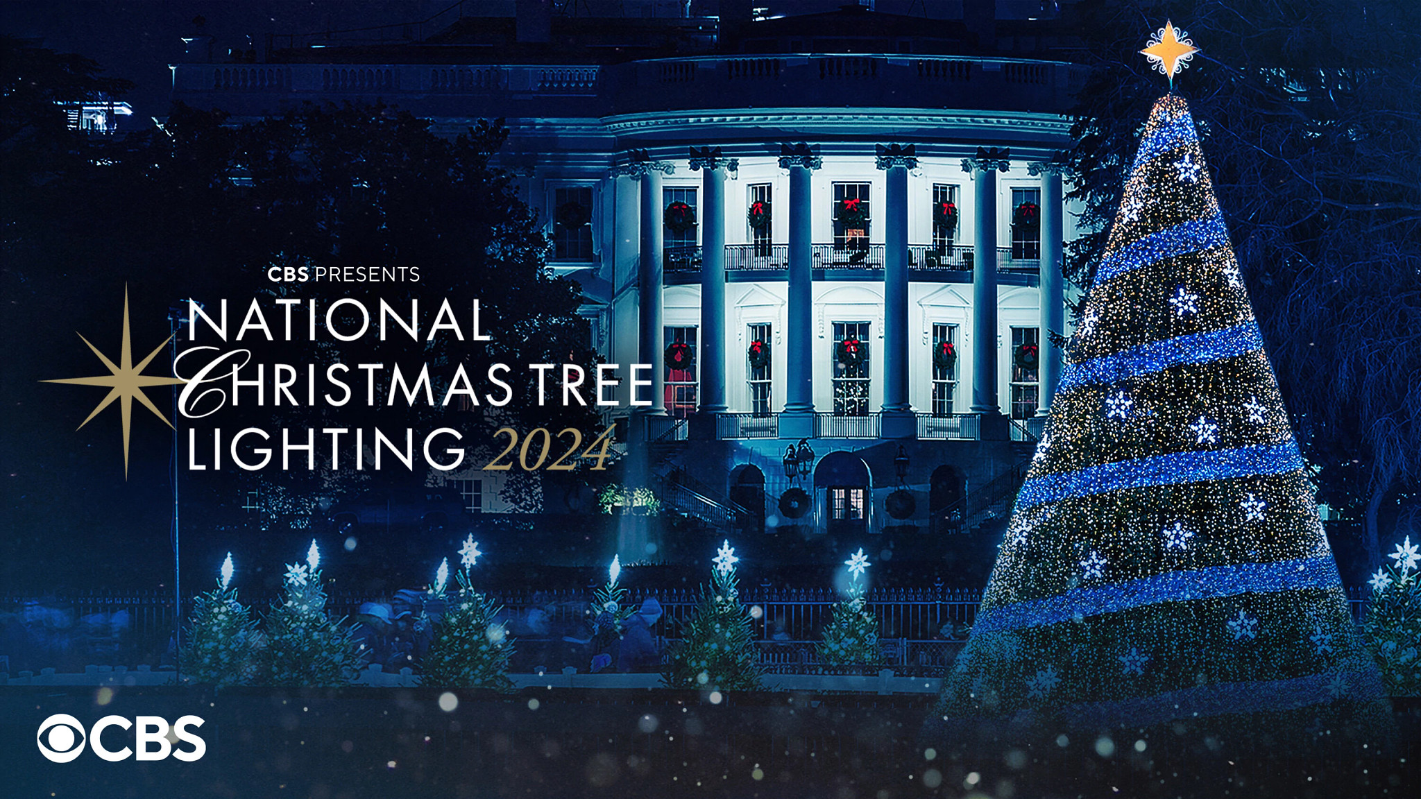 national christmas tree