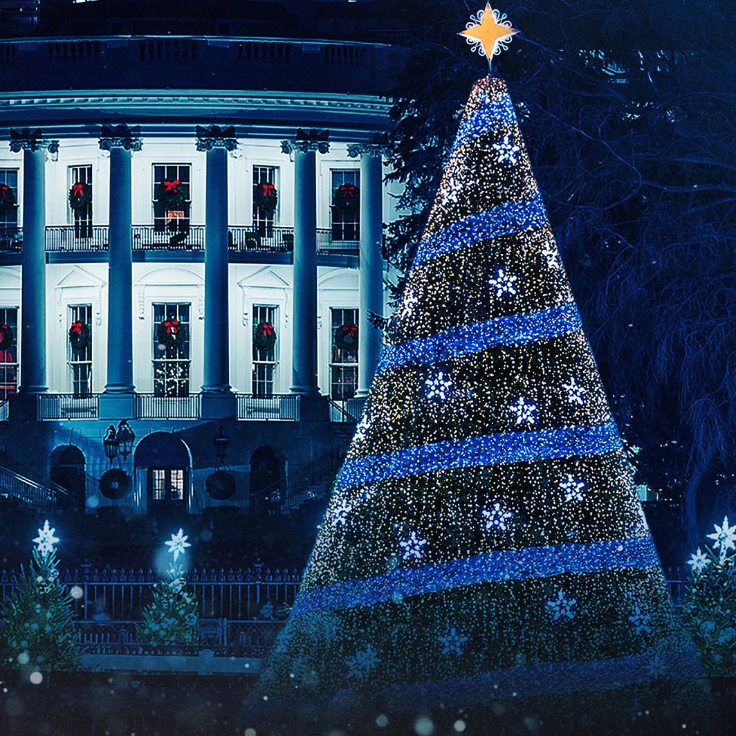 Holiday TV Music Specials national christmas tree