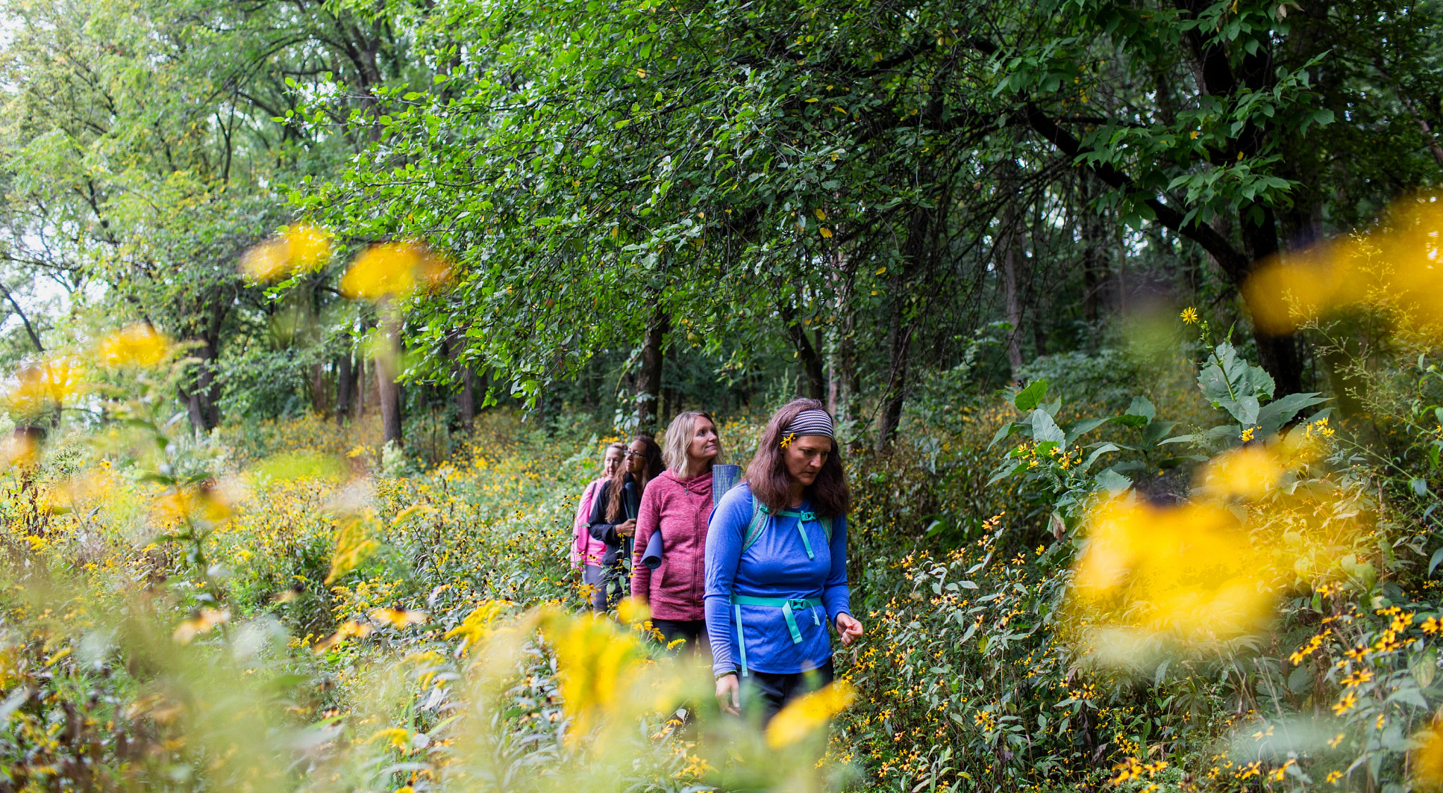 group of women walk in the forest