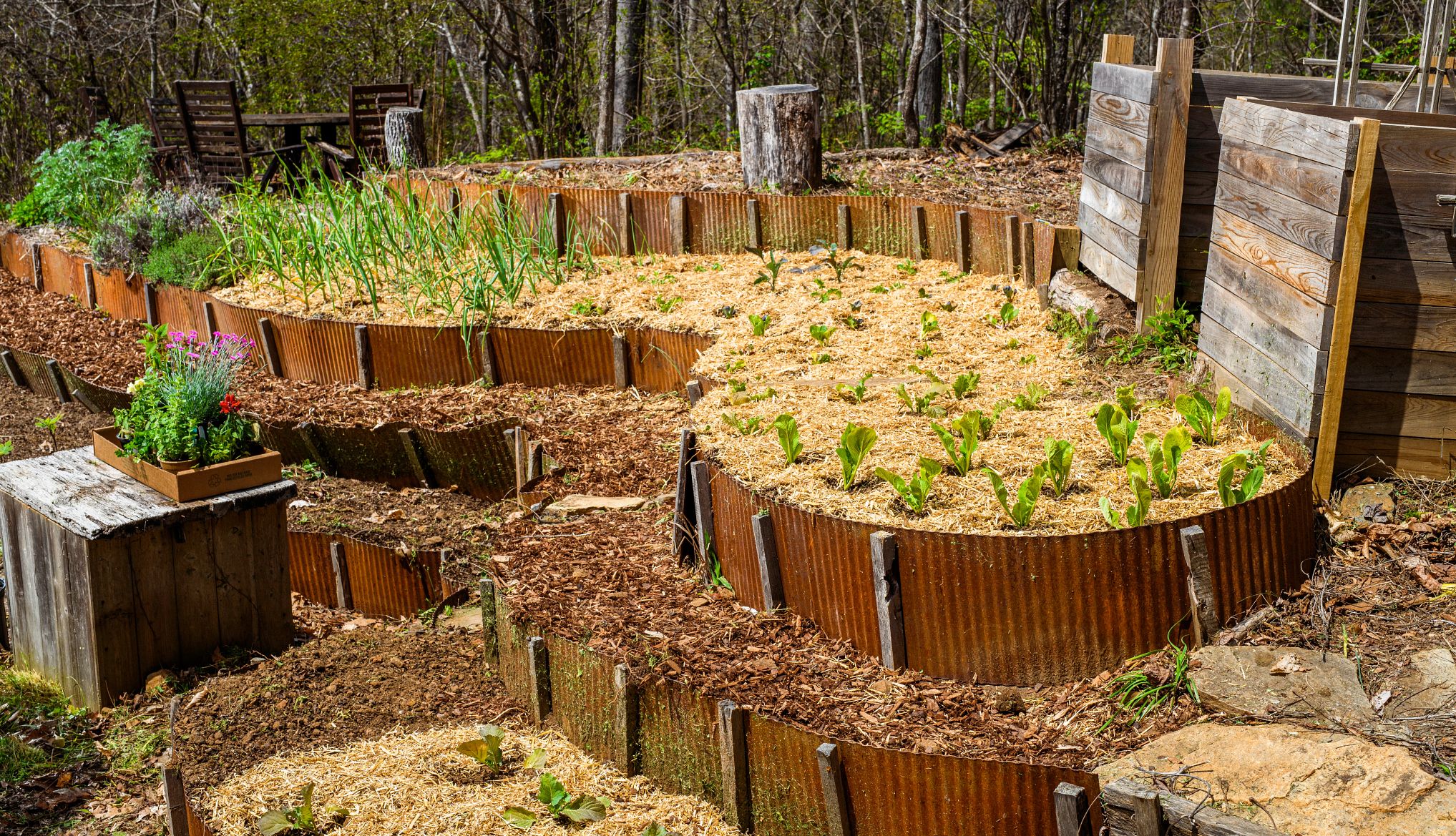mulching can help strengthen your garden an example of mulch