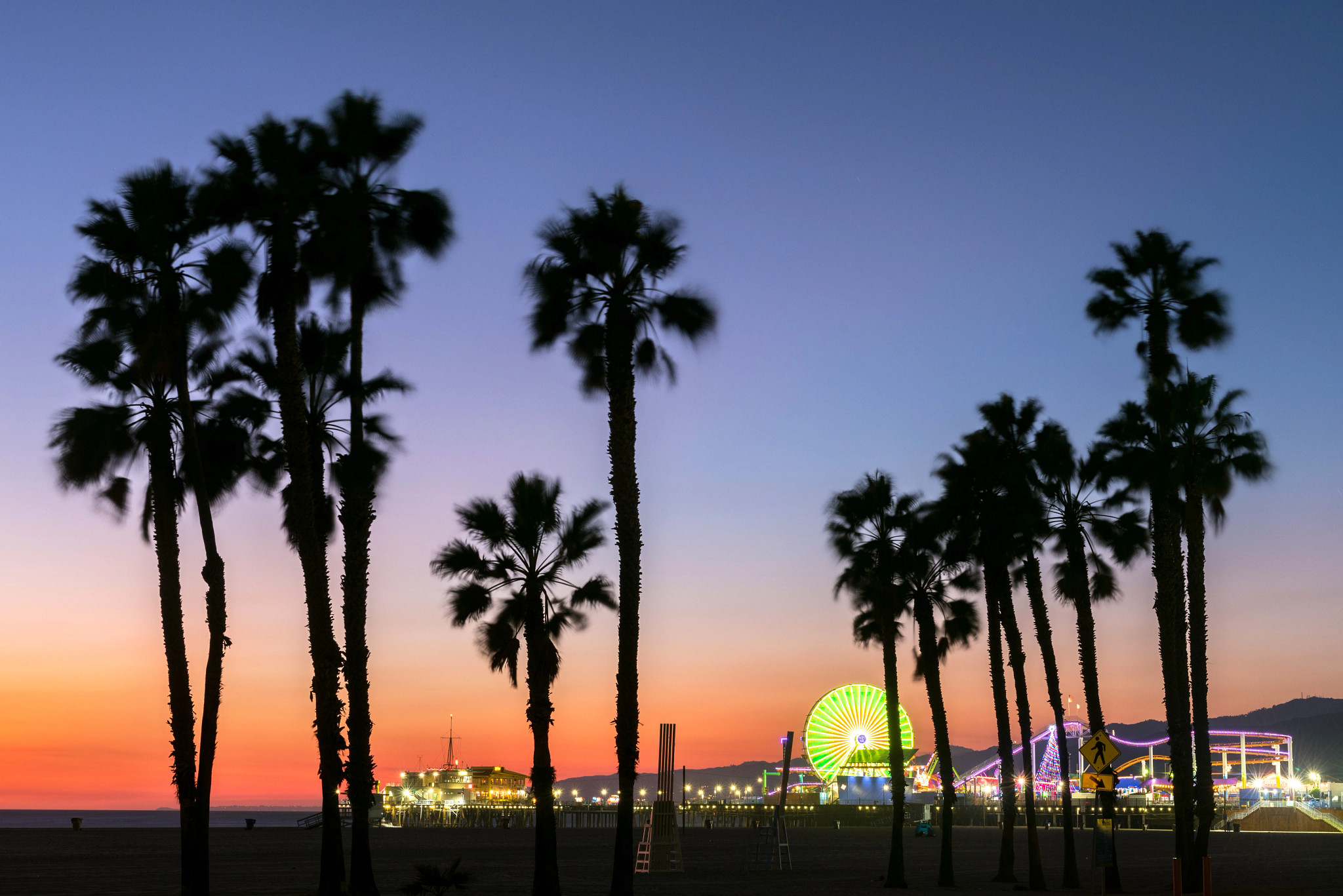palm trees at sunset with the santa monica pier in the background