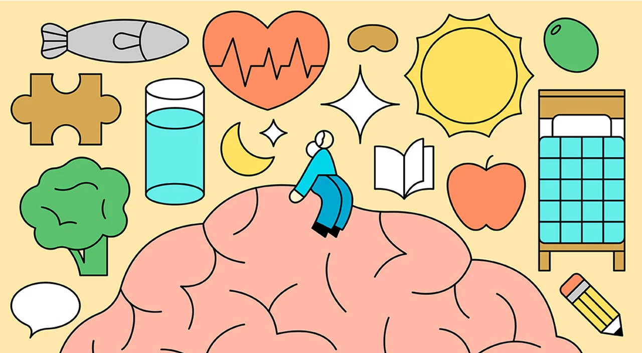 illustration of brain with items related to memory health