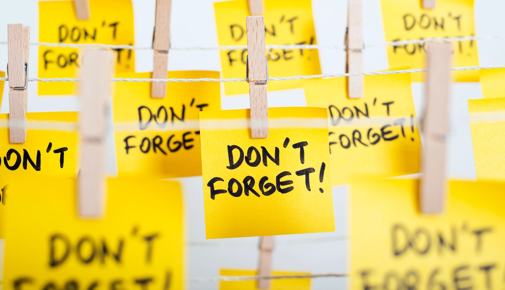 Test Your Brain by Taking the Memory and Dementia Quiz
