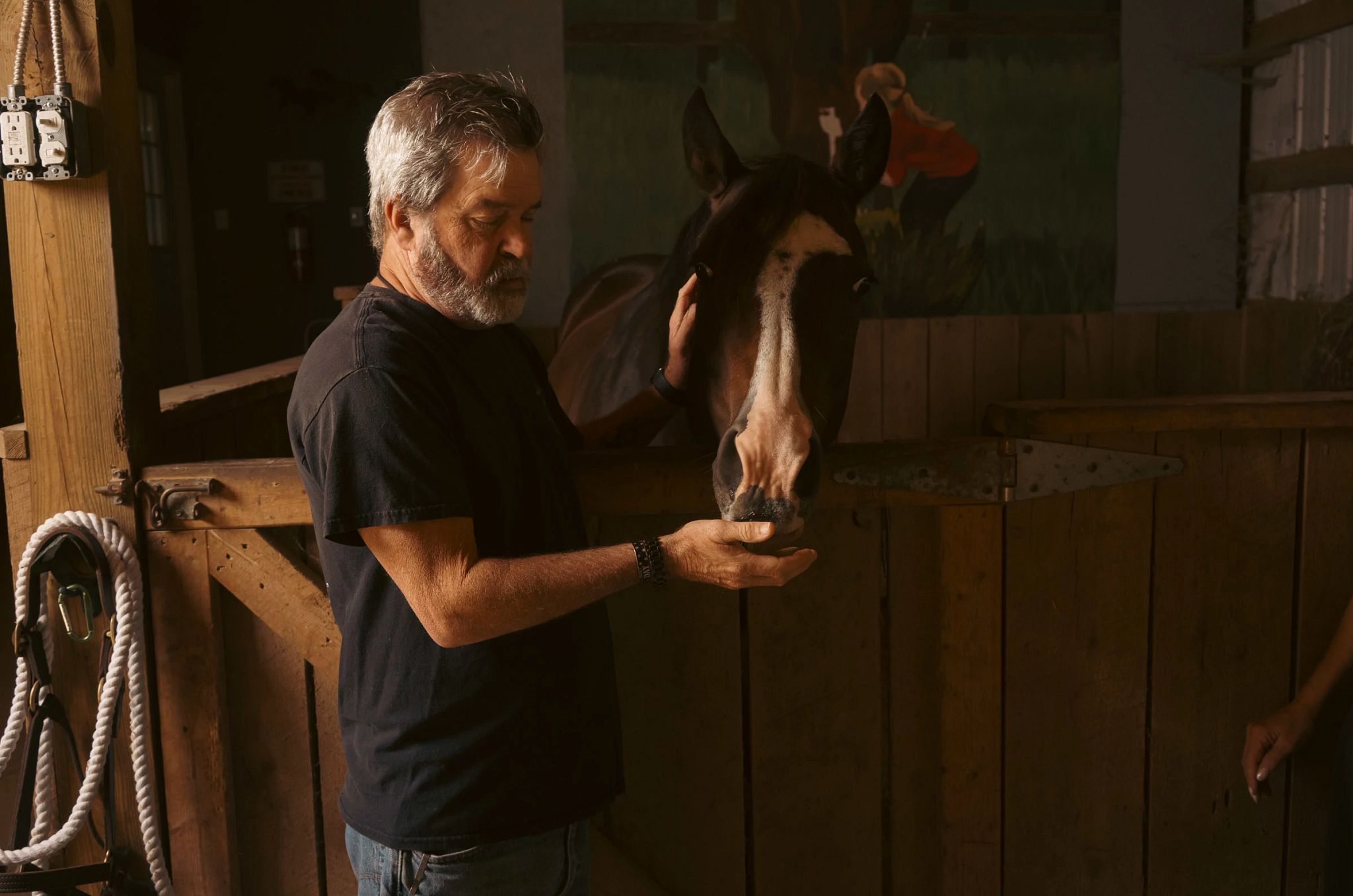 Caregivers Navigate Sensitive Conversations About Suicide With Care Recipients a man and a horse