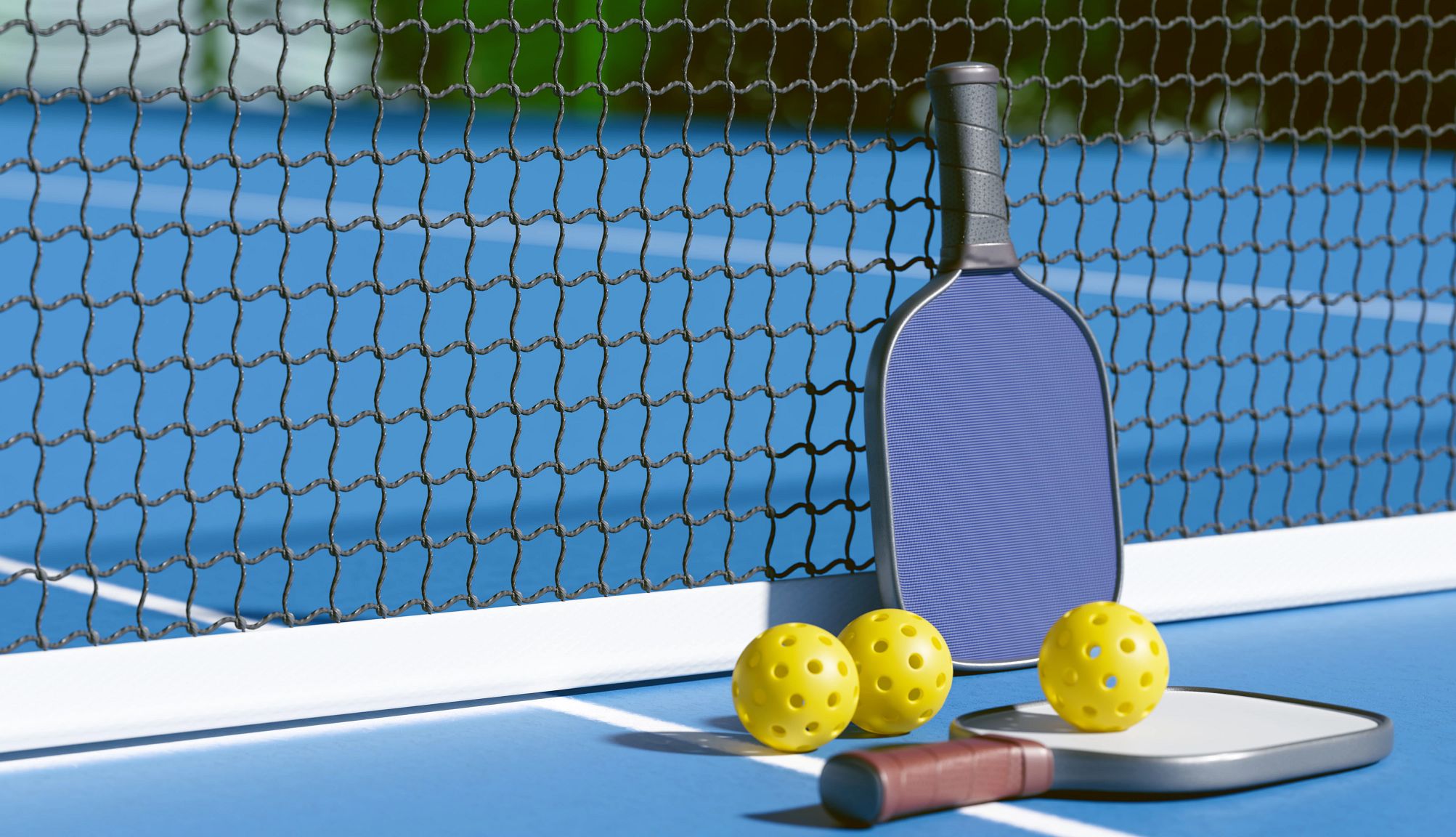 Image of Picklepalooza: Pickleball Clinic Image of Picklepalooza: Pickleball Clinic