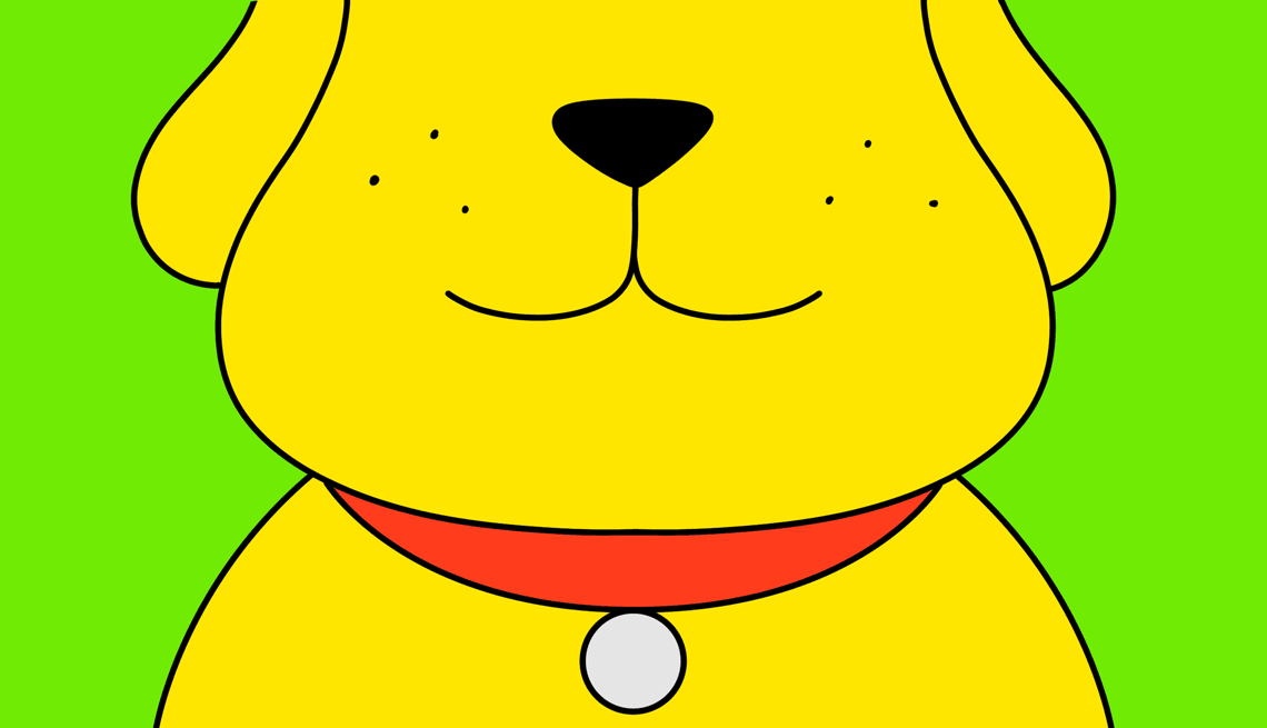 pet dental care guide gif of a dog smiling with clean teeth