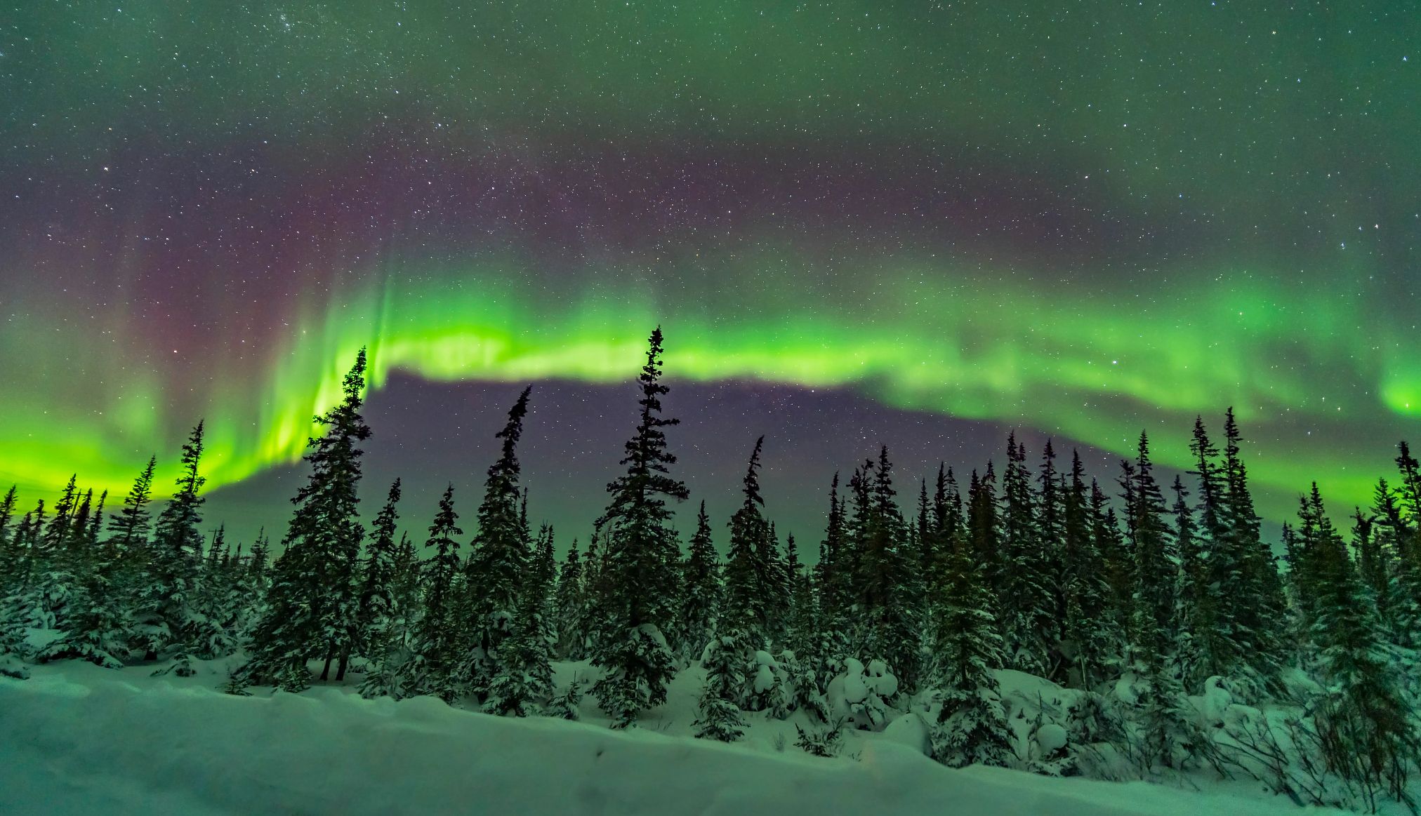 Thanadelthur Lounge has a rooftop oberservation deck A band of subtly coloured aurora over the snowy trees of the northern boreal forest in Churchill, Manitoba, Canada