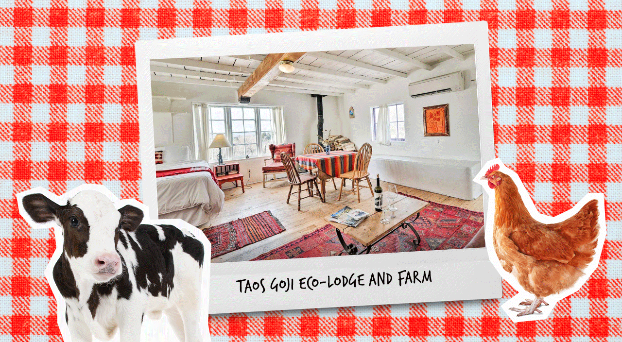 photo gif of 4 overnight farms to visit