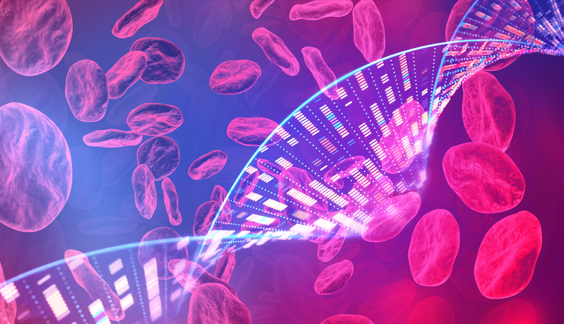 There could be a genetic link to high blood pressure. dna spirals and blood cells