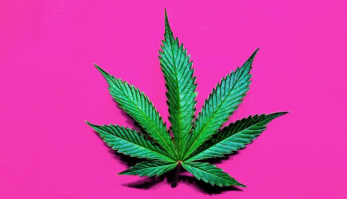 Hoja de una planta de marihuana