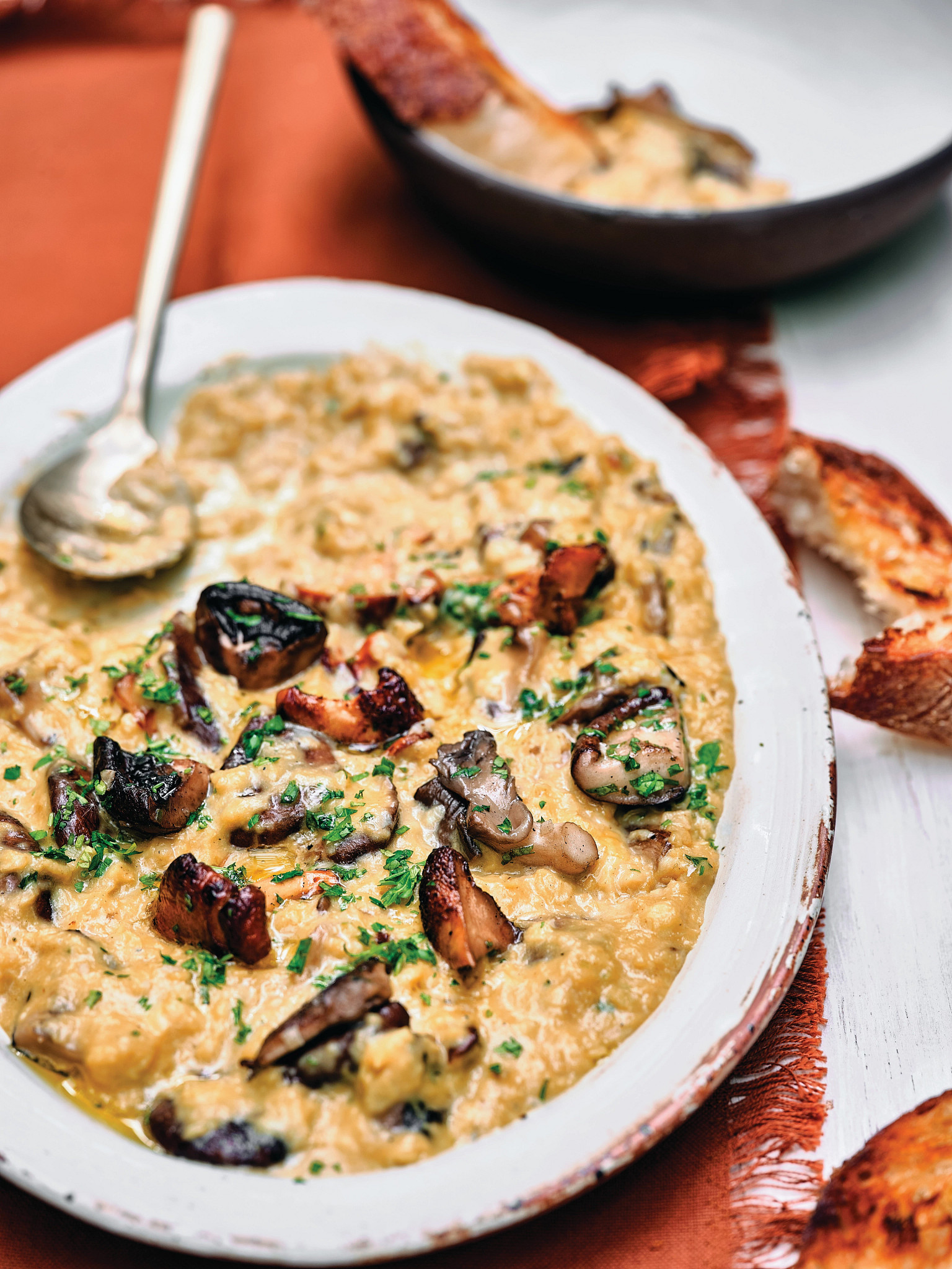 a photo shows josé andrés’ creamy scrambled eggs with mushrooms