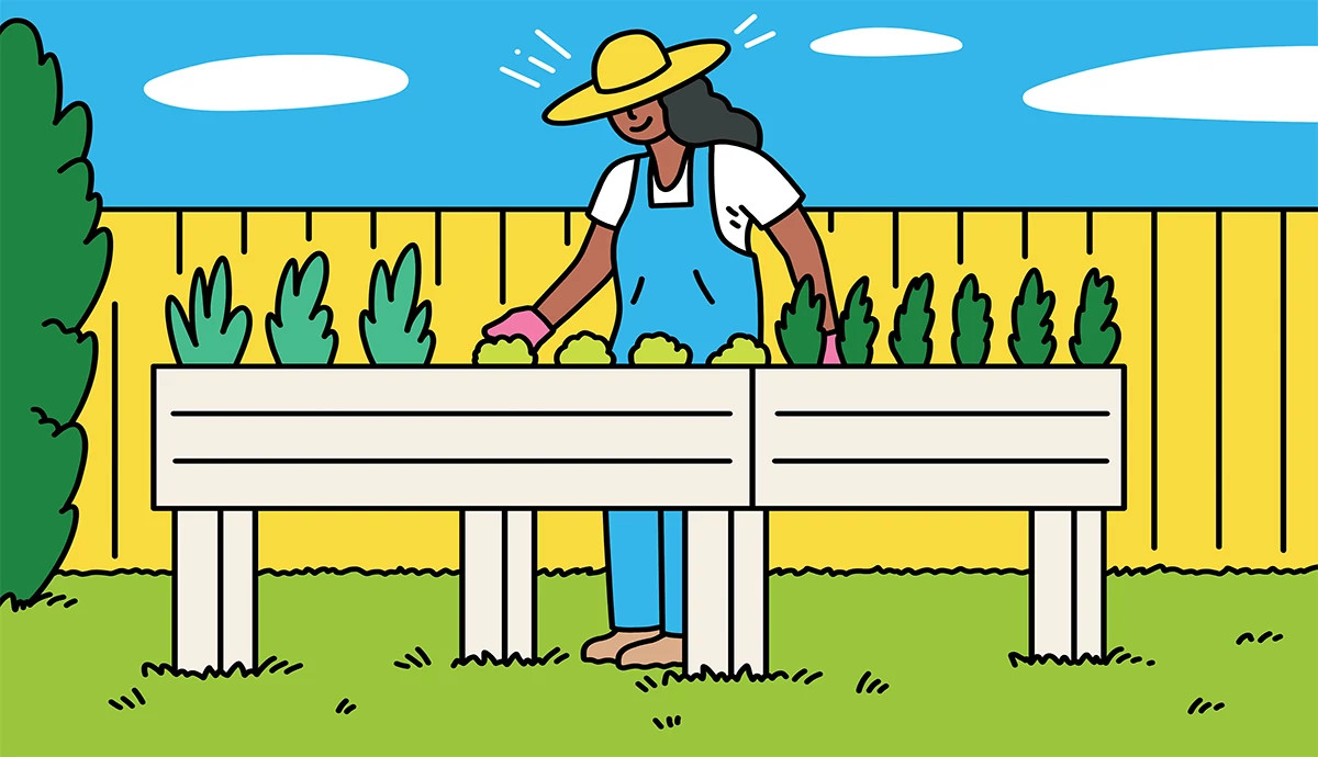 an illustration shows a woman tending to an elevated gardening bed in her backyard