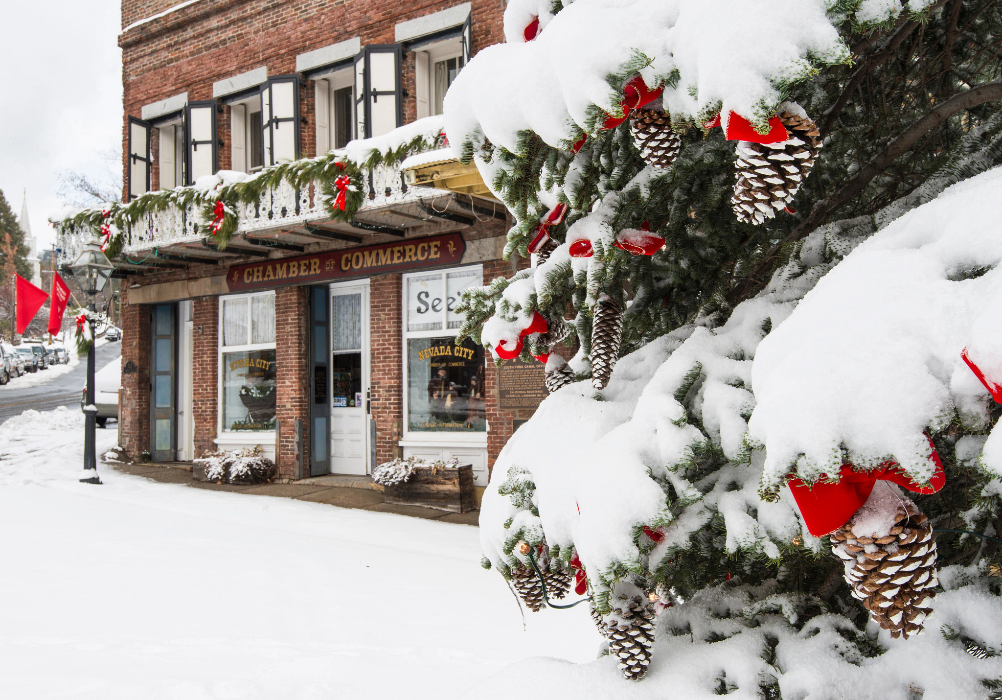 a christmas tree covered in snow with a storefront in the background