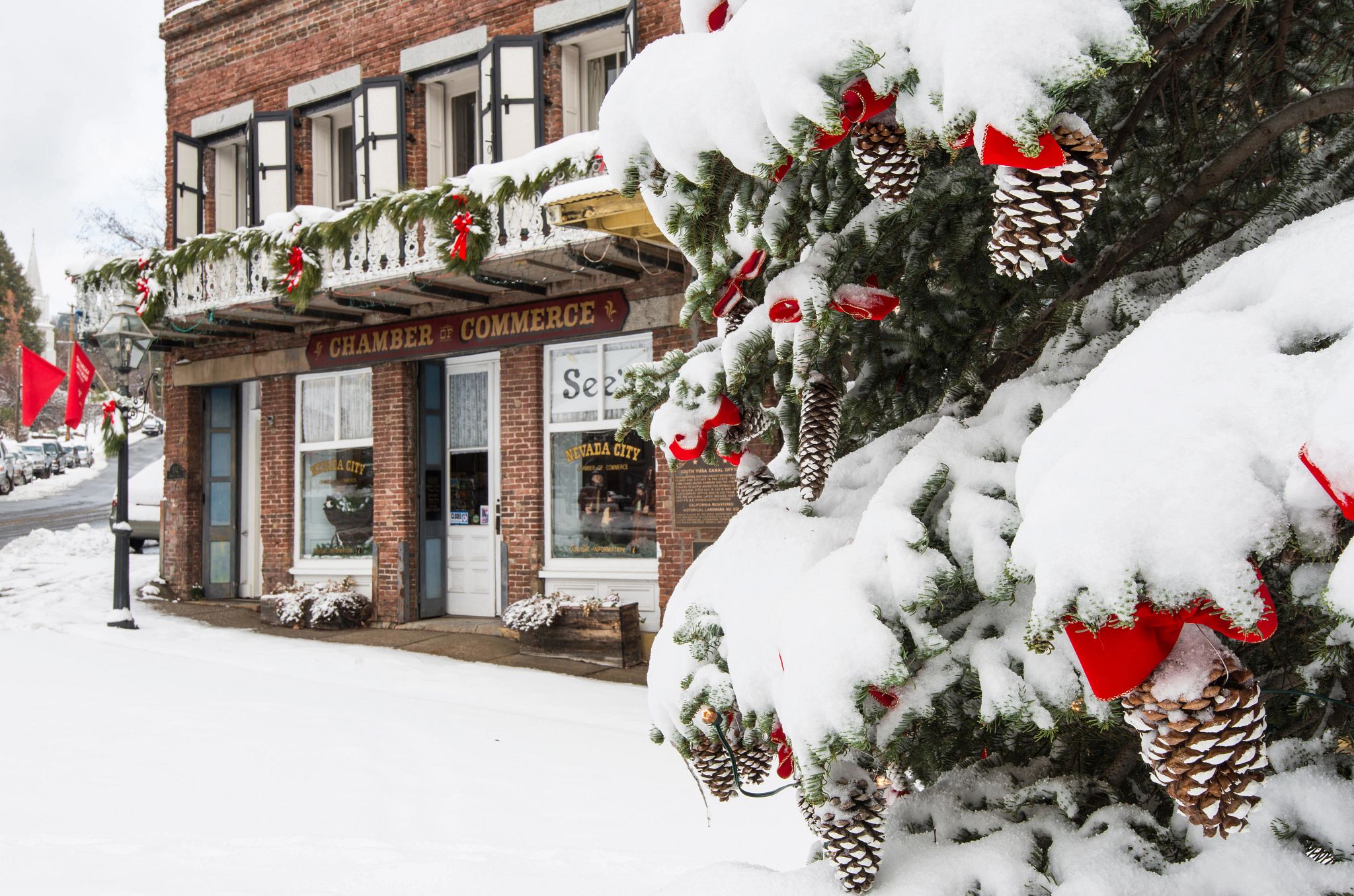 a christmas tree covered in snow with a storefront in the background