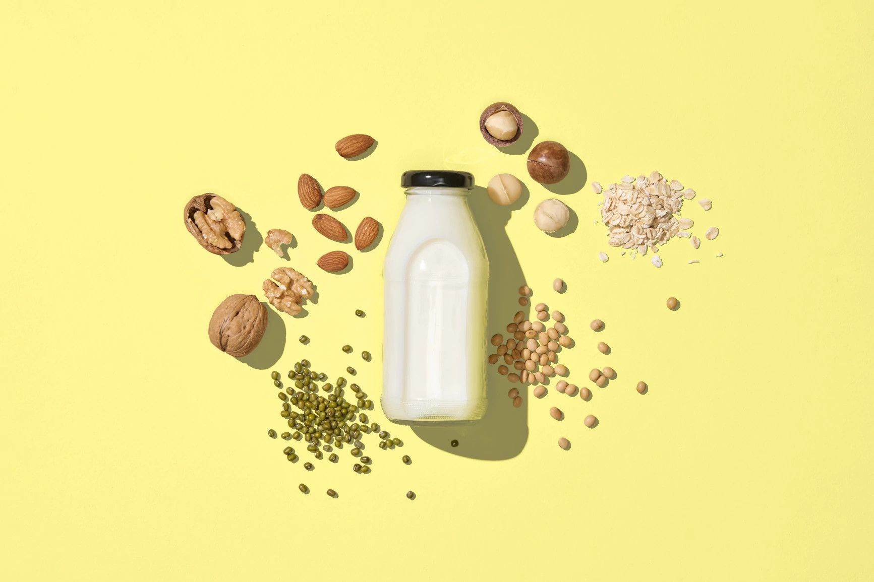 bottle of plant-based milk surrounded by almonds, walnuts, macadamia nuts, oats, and seeds