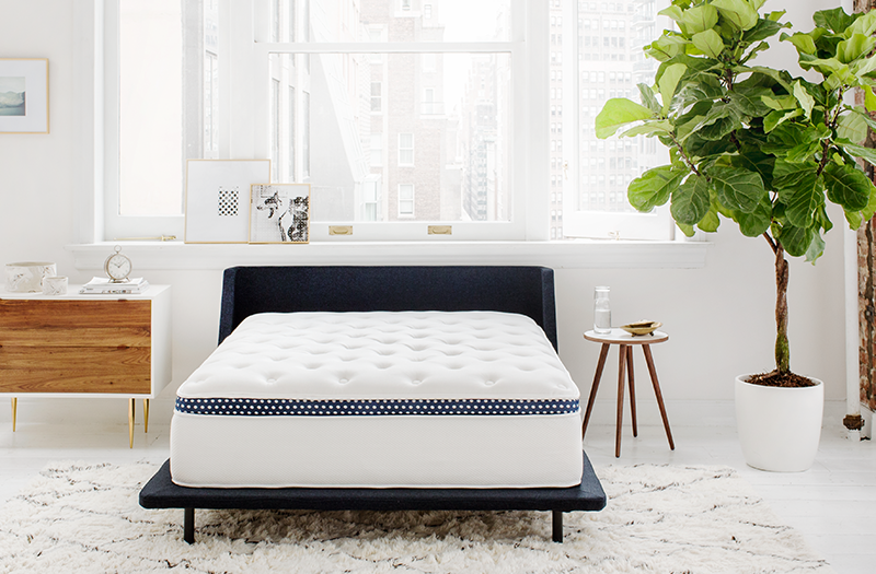 The WinkBed is staged on a black bedframe with a plant beside the bed