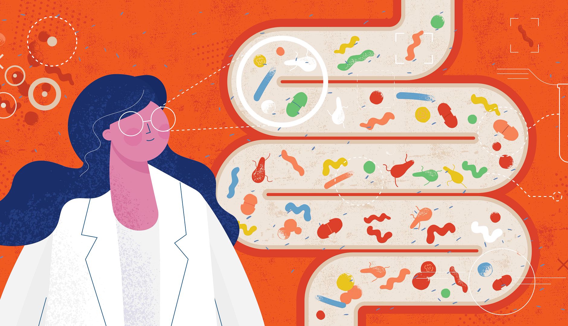 Your gut microbiome affects your brain An illustration of a silhouette of a human with a brain and intestines surrounded by gut bacterium