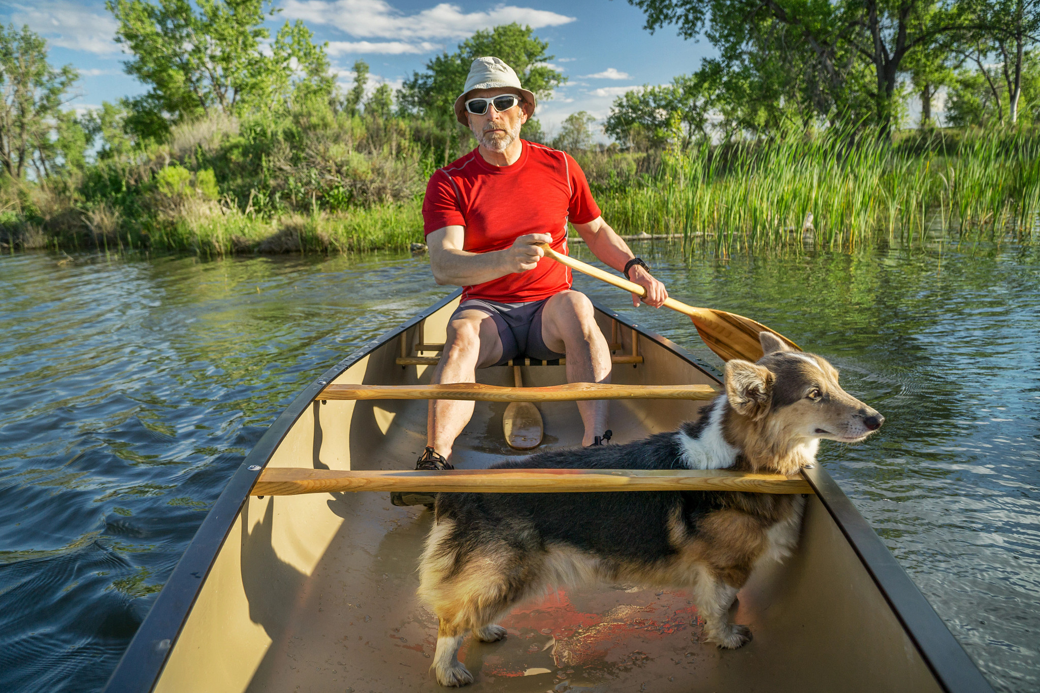 a dog and man in a canoe