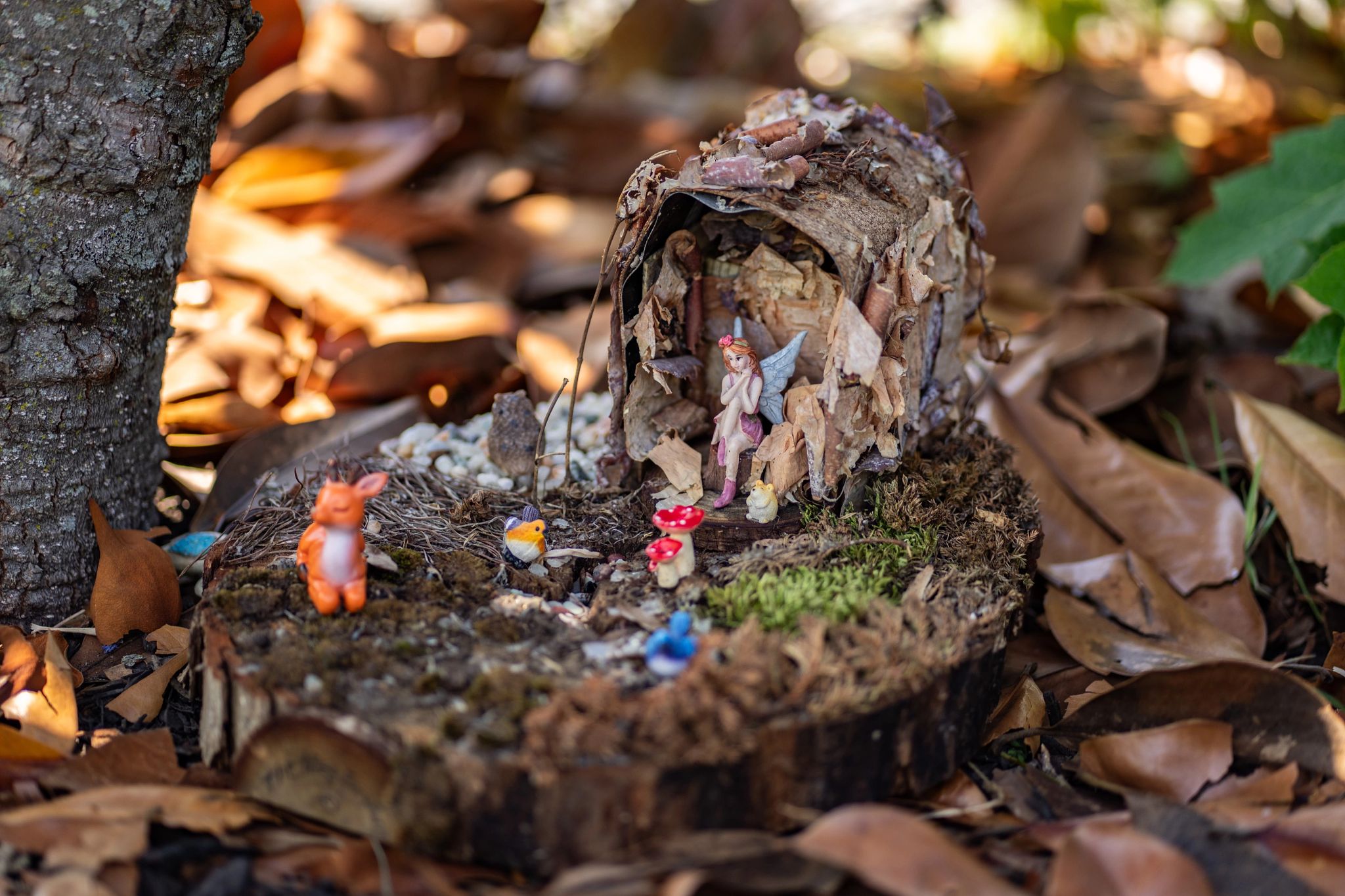 An example of Cameron's fairy garden Cameron’s garden on the ground