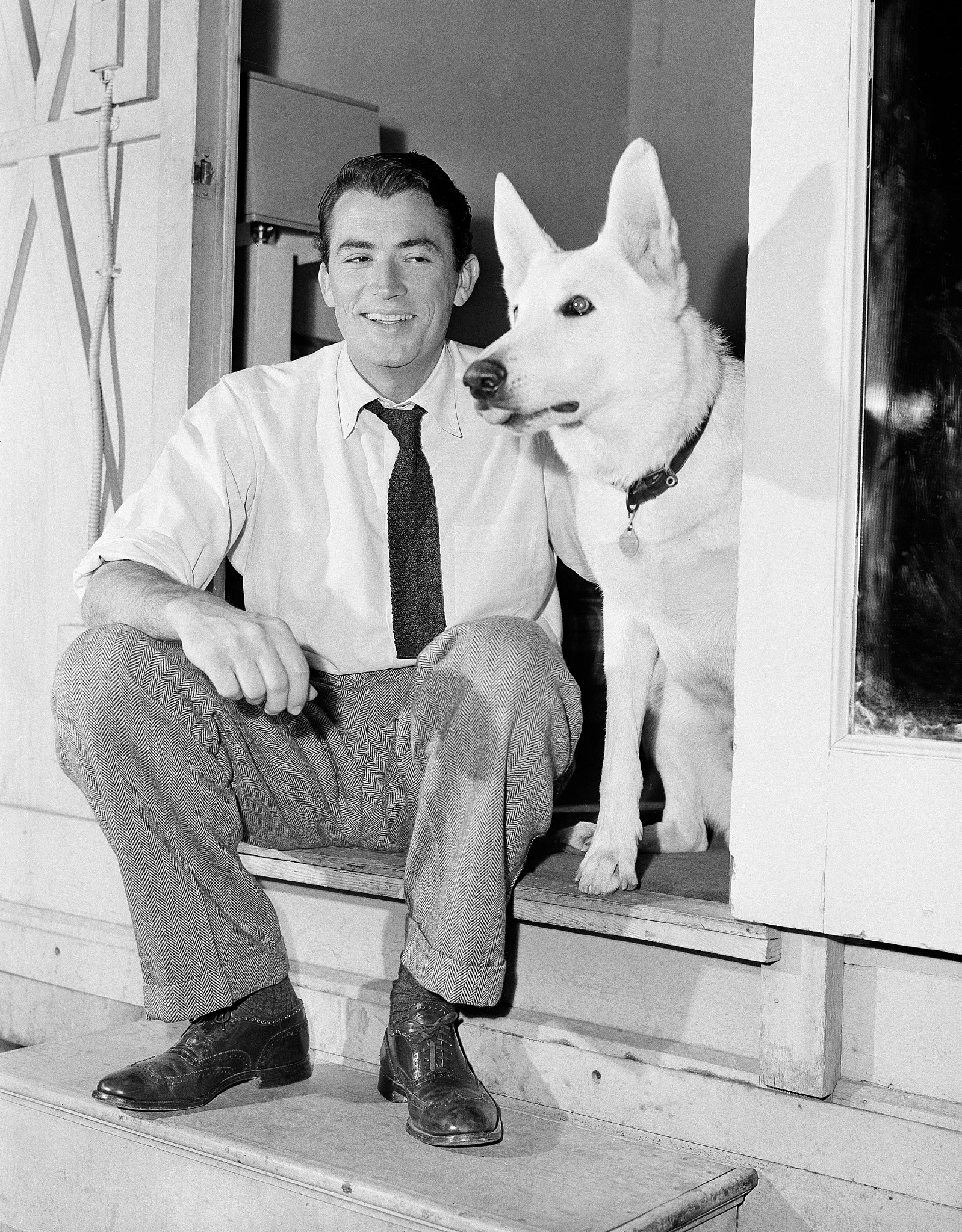 a photo shows actor Gregory Peck his white shepherd Perry during a break filming Gentleman's Agreement in 1947