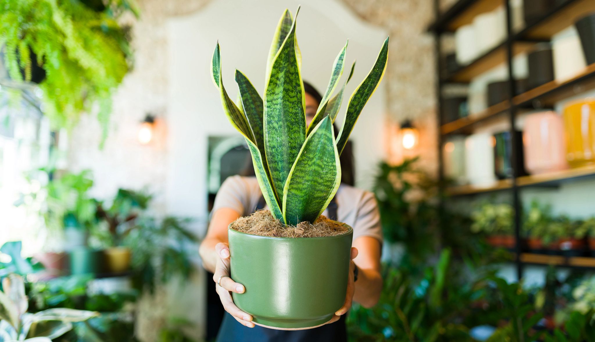 Smart Guide: Indoor Plants A photo shows a woman in a large indoor garden are area, showing off a potted plant.