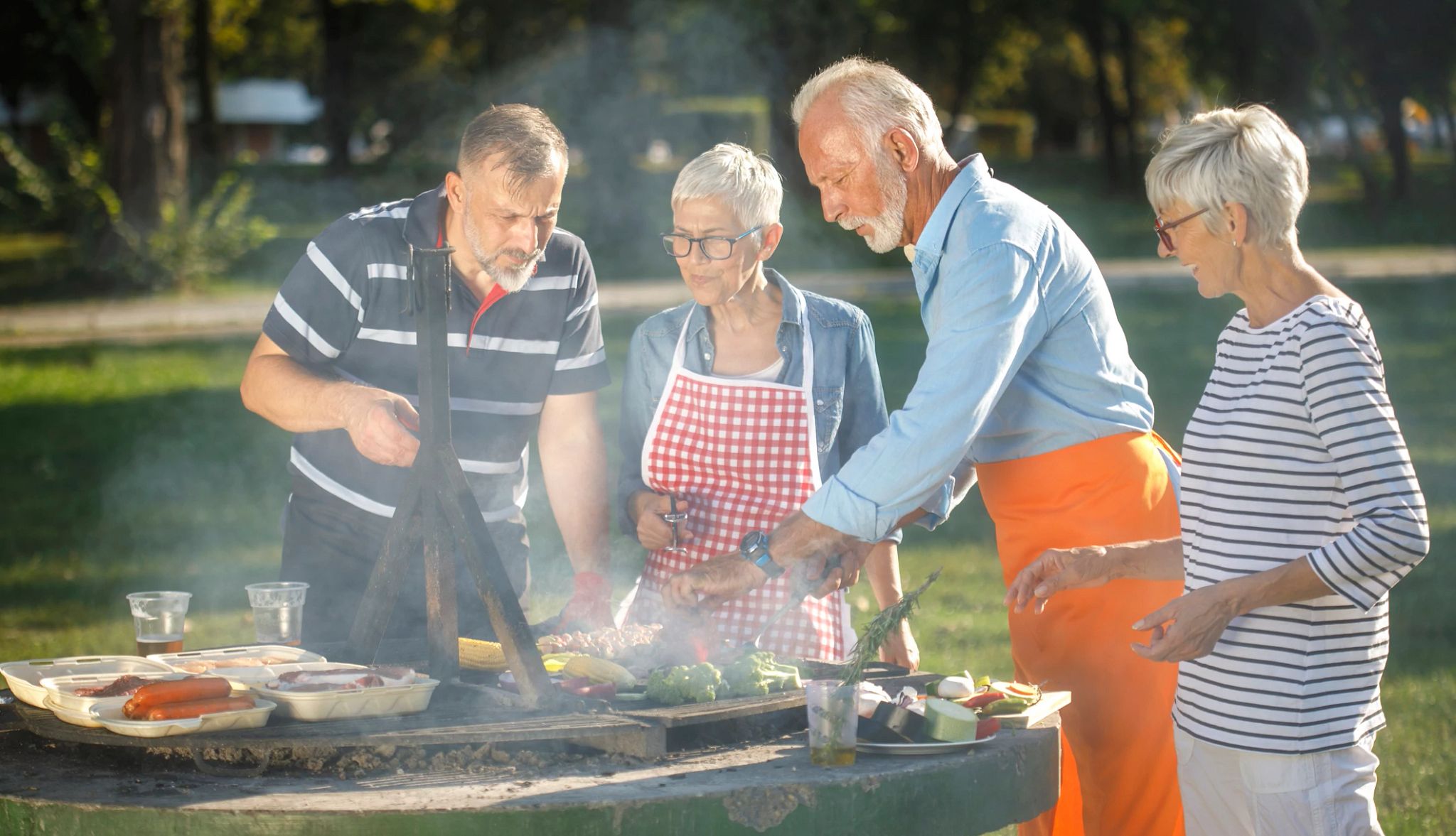 Group of active senior people having a great time outdoors during a picnic day. Group of active senior people having a great time outdoors during a picnic day.