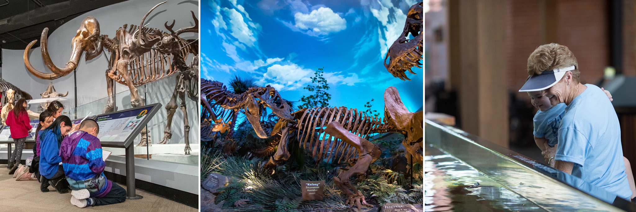 the Field Museum, the Children’s Museum of Indianapolis and the National Mississippi River Museum & Aquarium