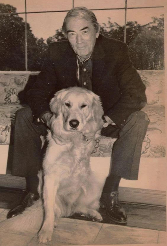 a photo shows Gregory Peck with his dog Raj in 1986