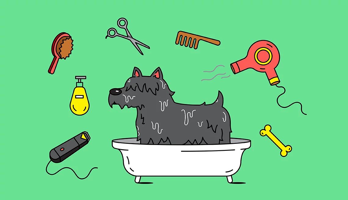 How to Save on Pet Costs a dog in a bathtub surrounded by grooming tools