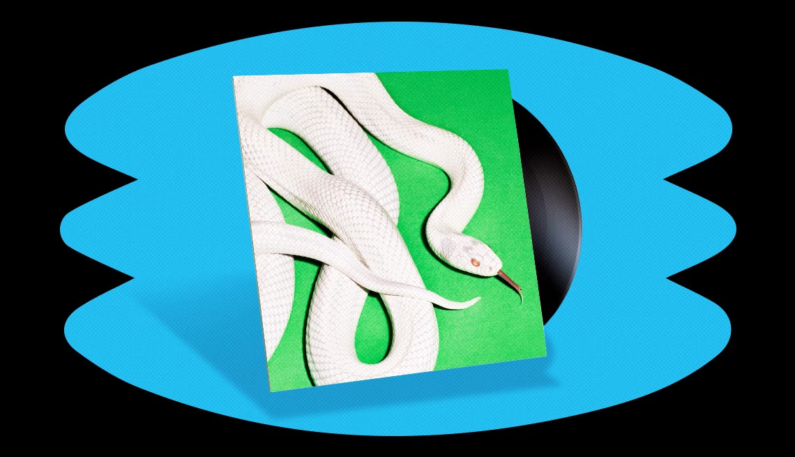 the cover of private music by deftones