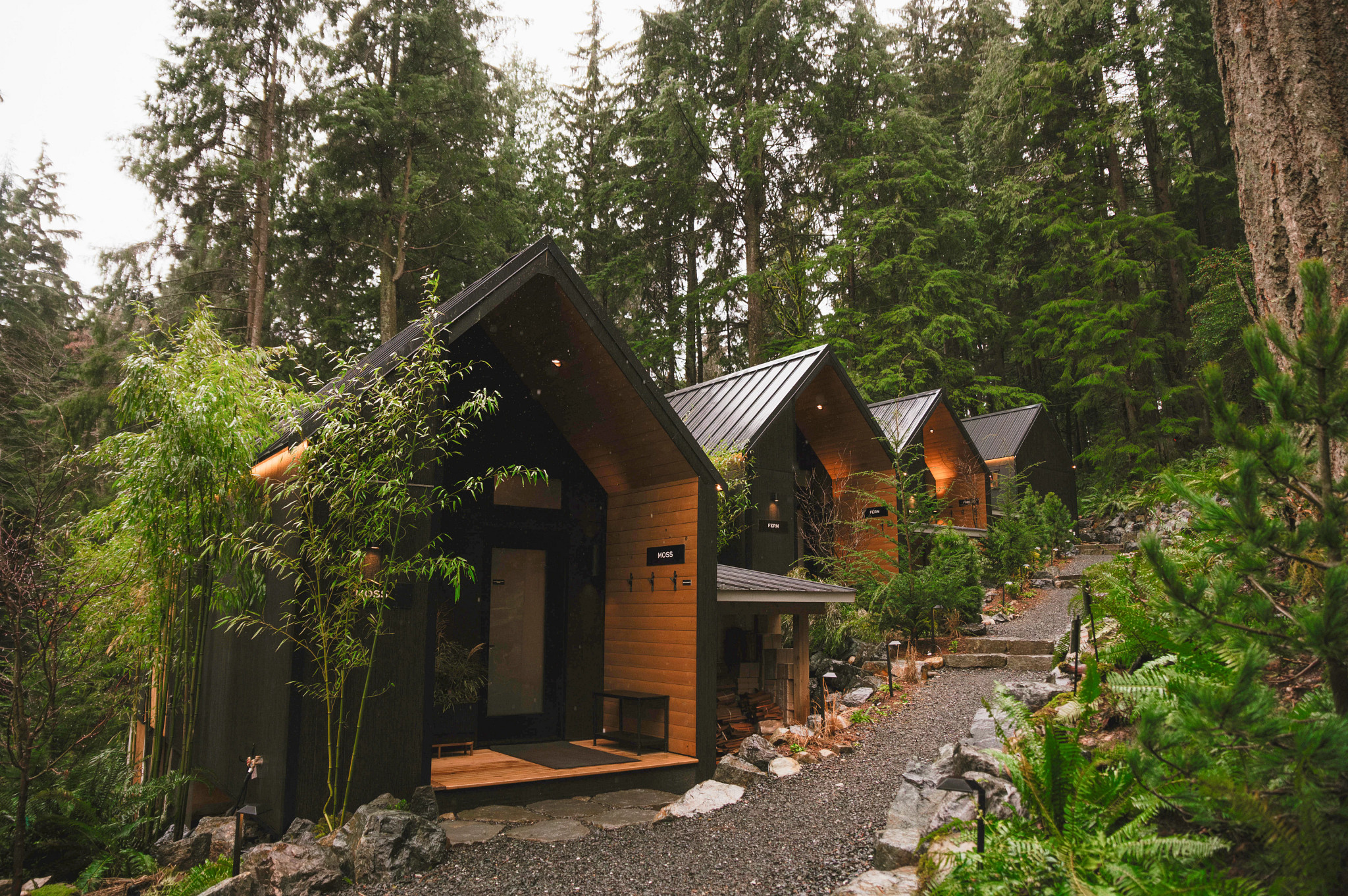 a row of small structures in a forest