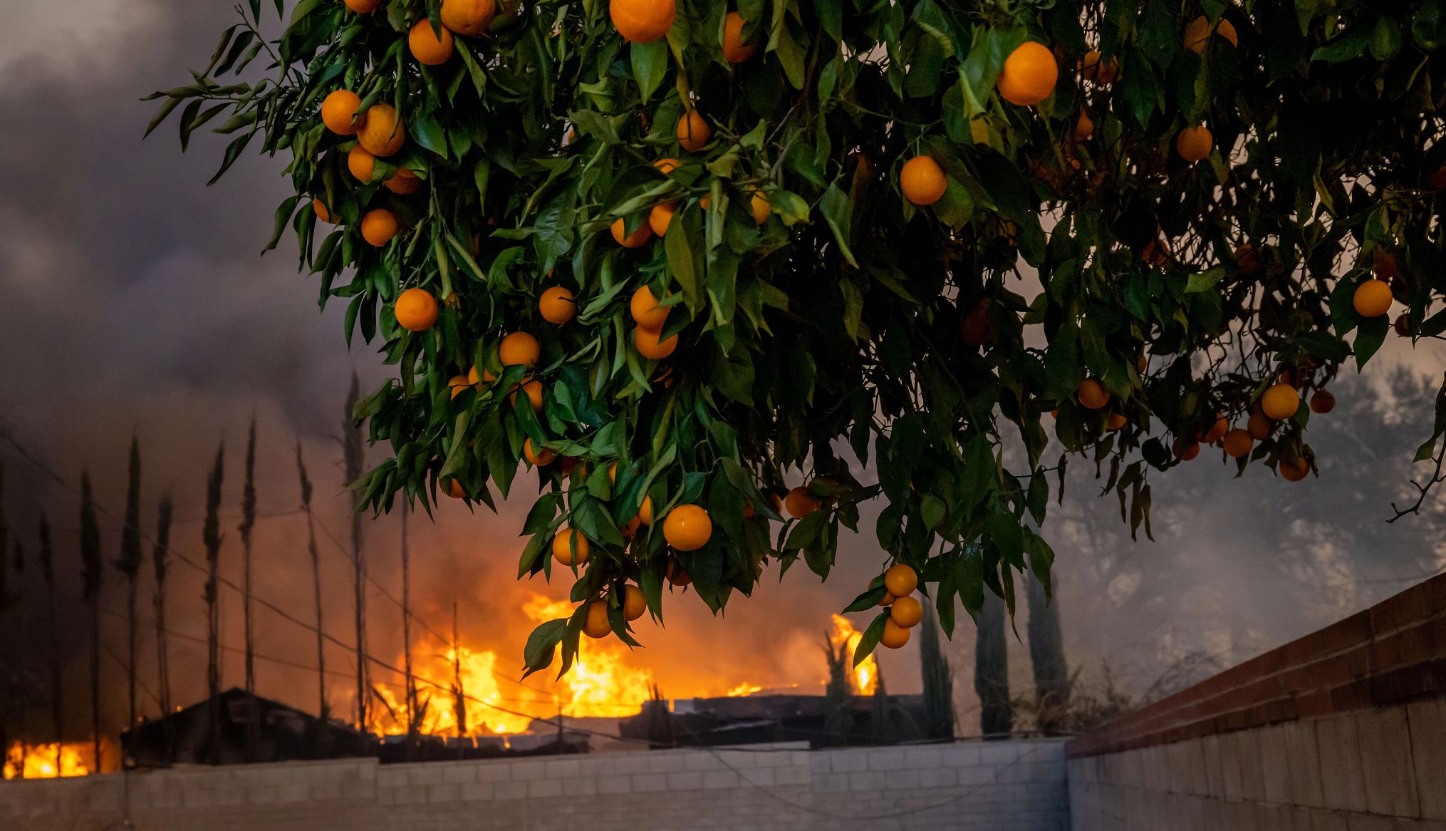 wildfire in los angeles wildfire in los angeles