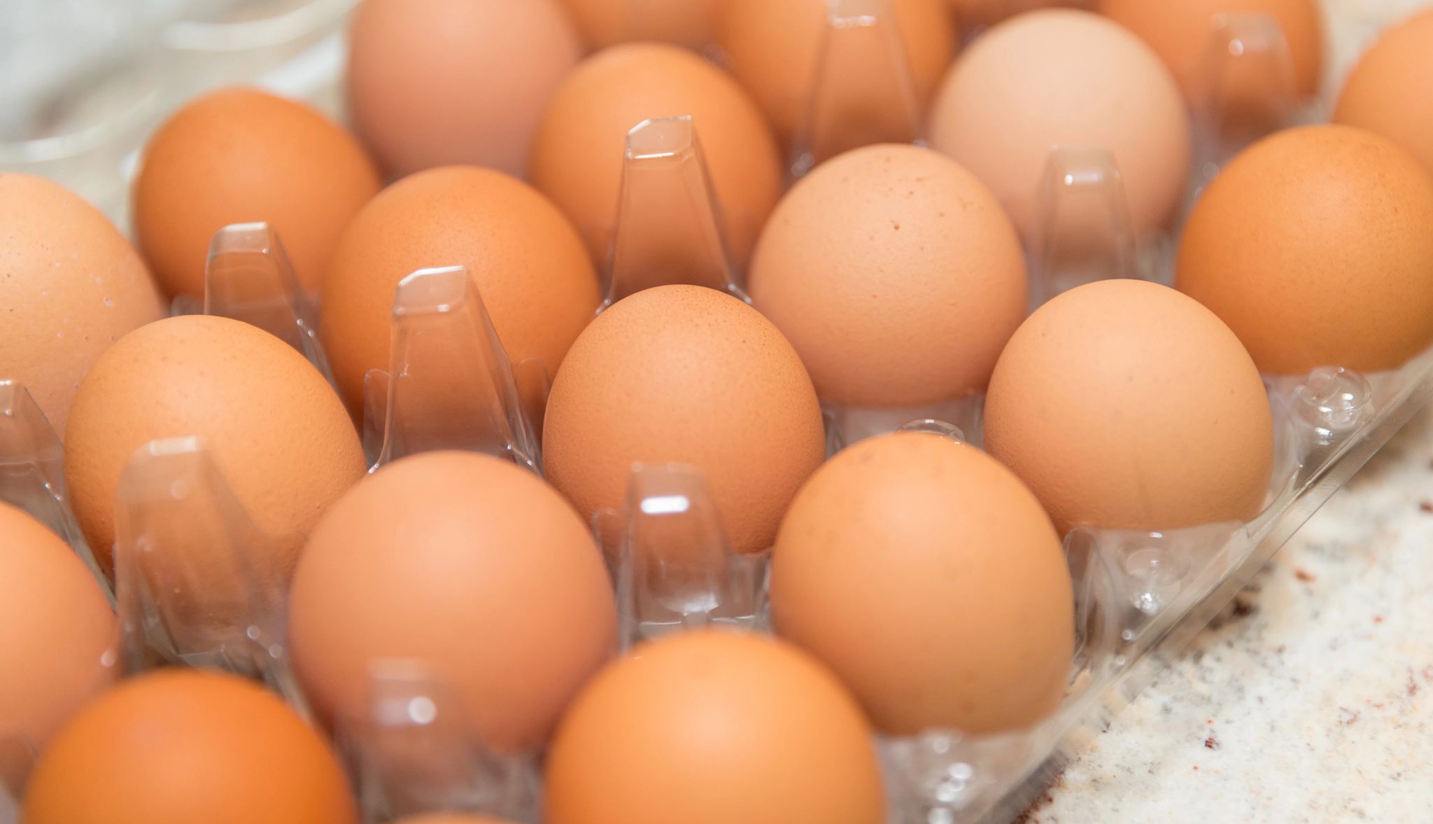 Eggs Recalled for Salmonella eggs