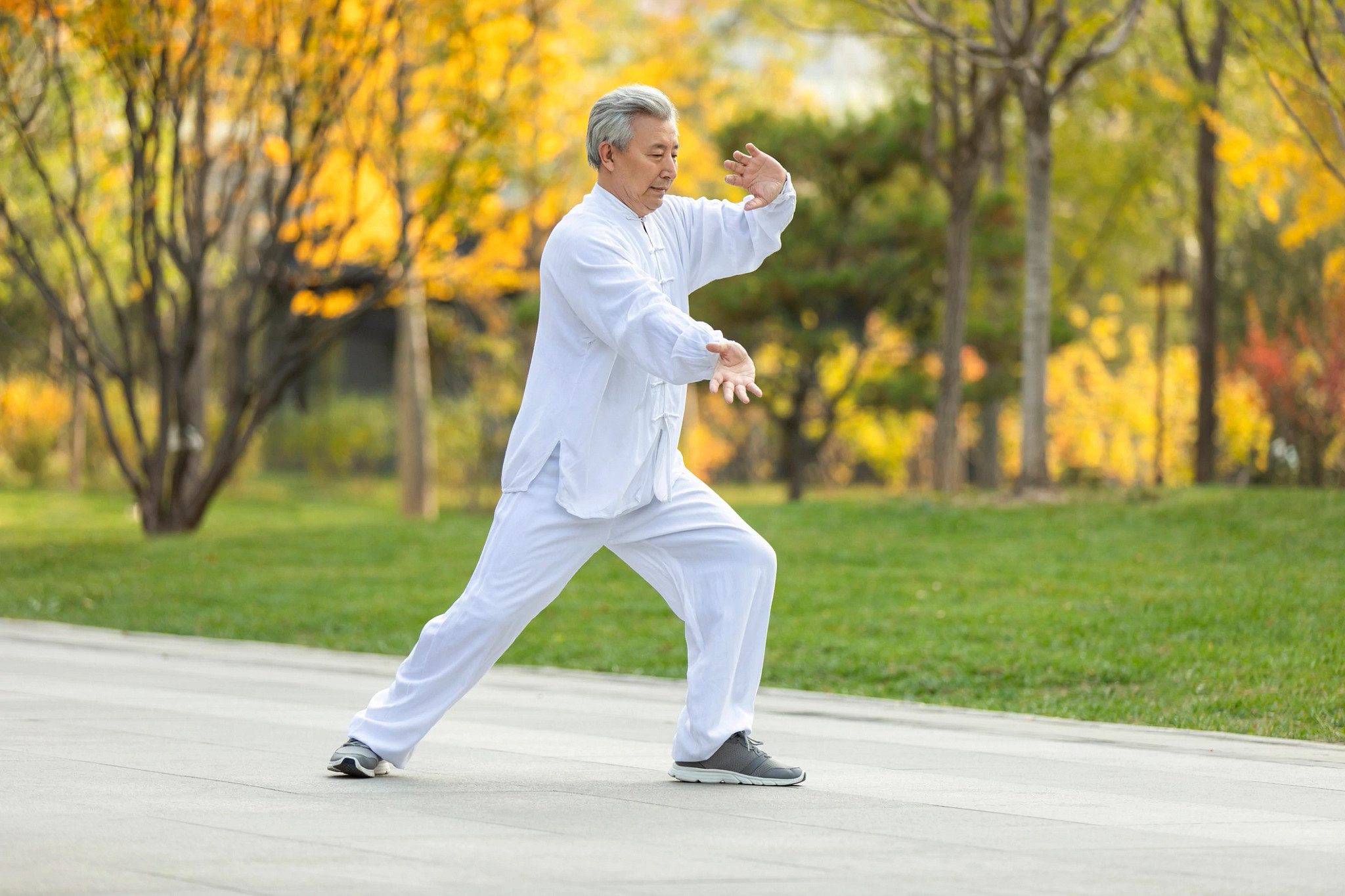 Cheerful senior Chinese man practicing Tai Chi in the park