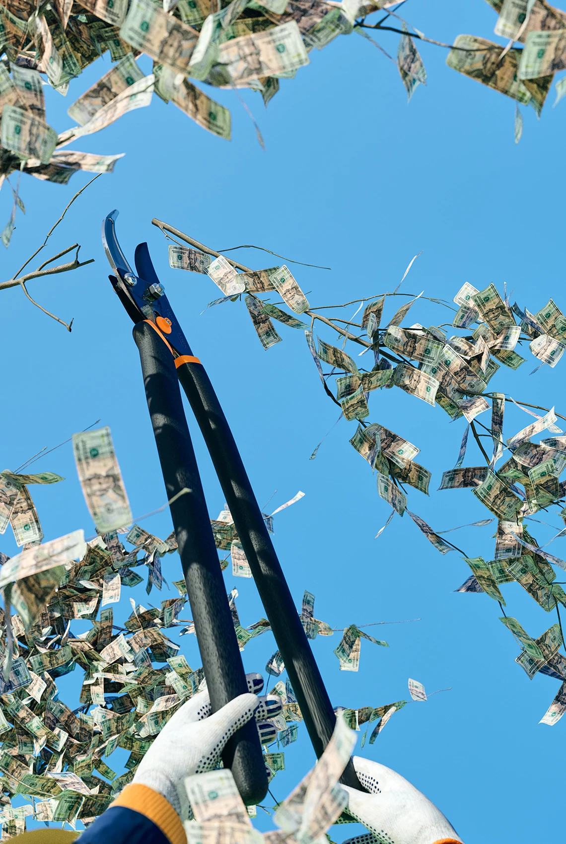 a person trimming shrubs with dollar bills on it