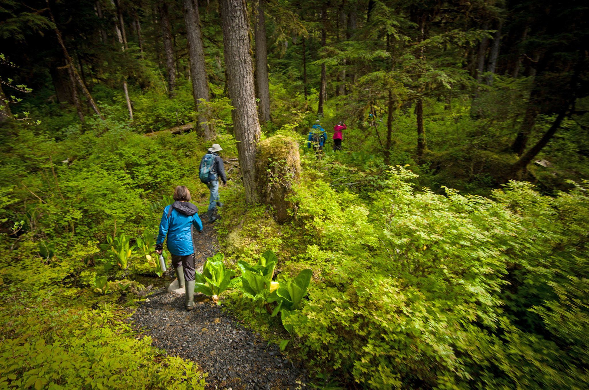 Tongass National Forest people walking through a forest