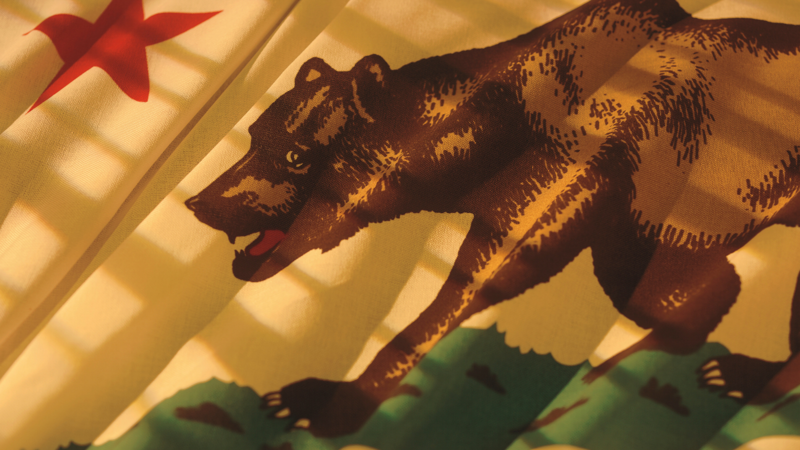 the bear of the california state flag