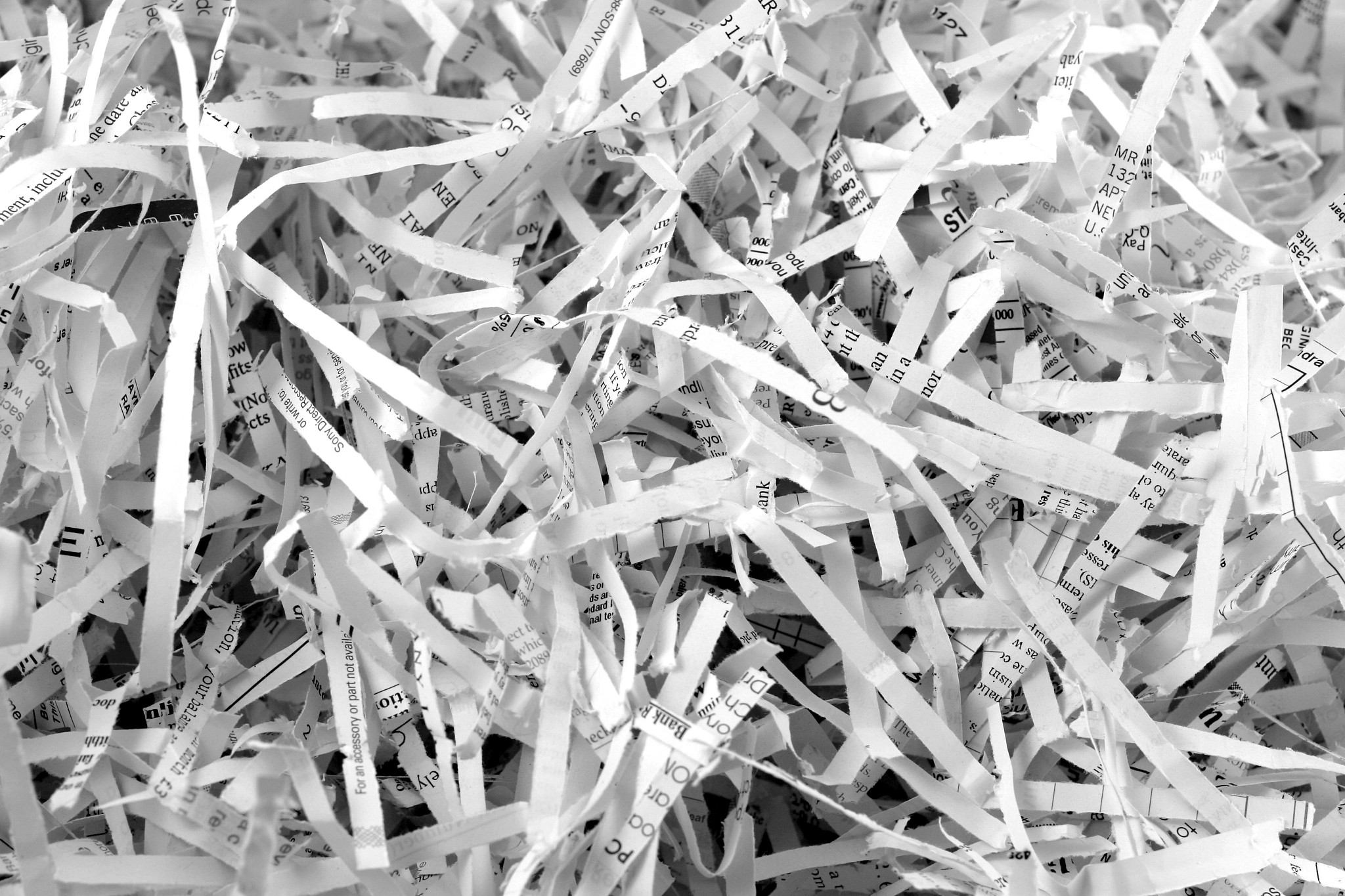 Shredded Paper