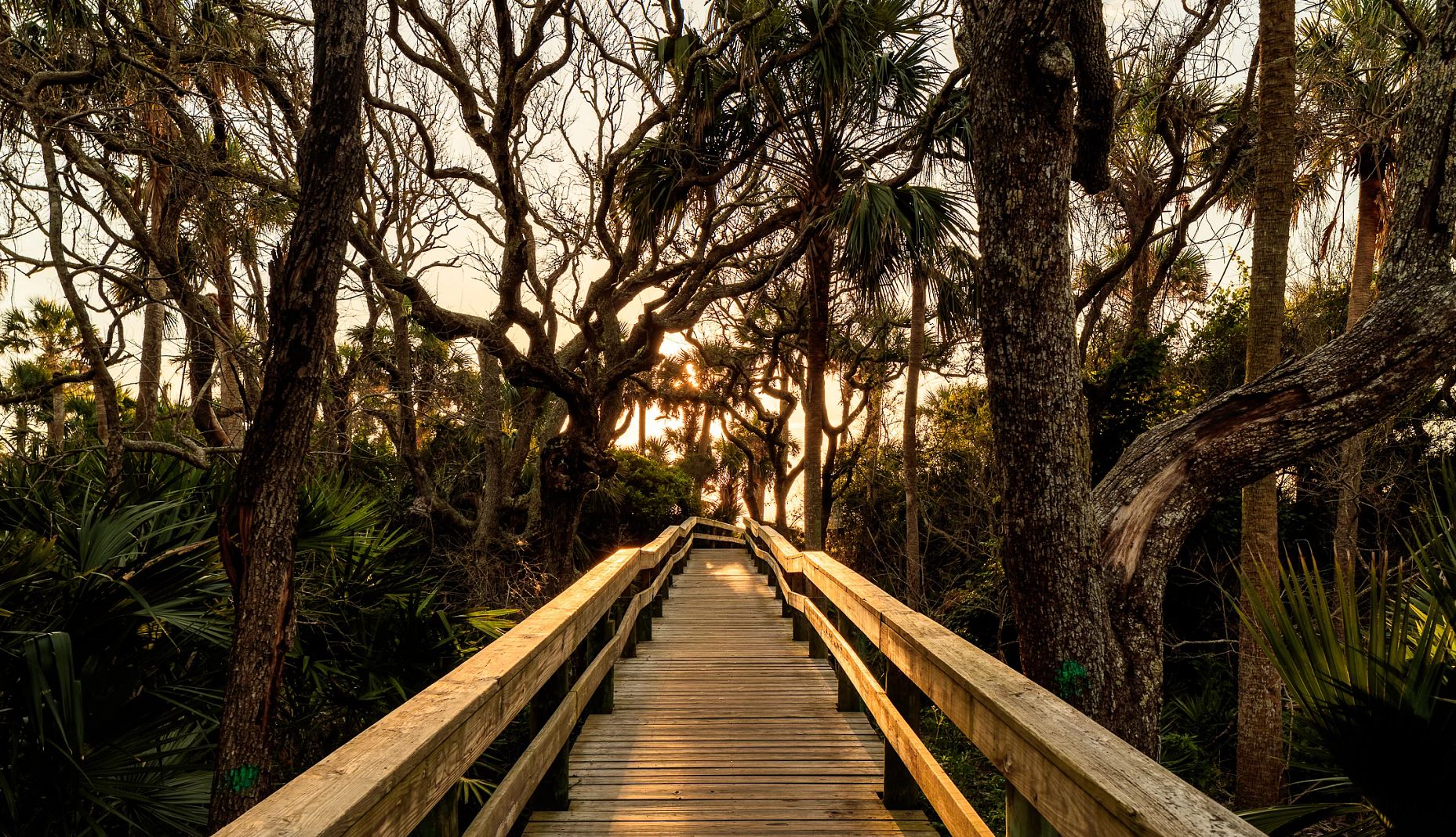 Little Talbot Island State Park a bridge surrounded by trees