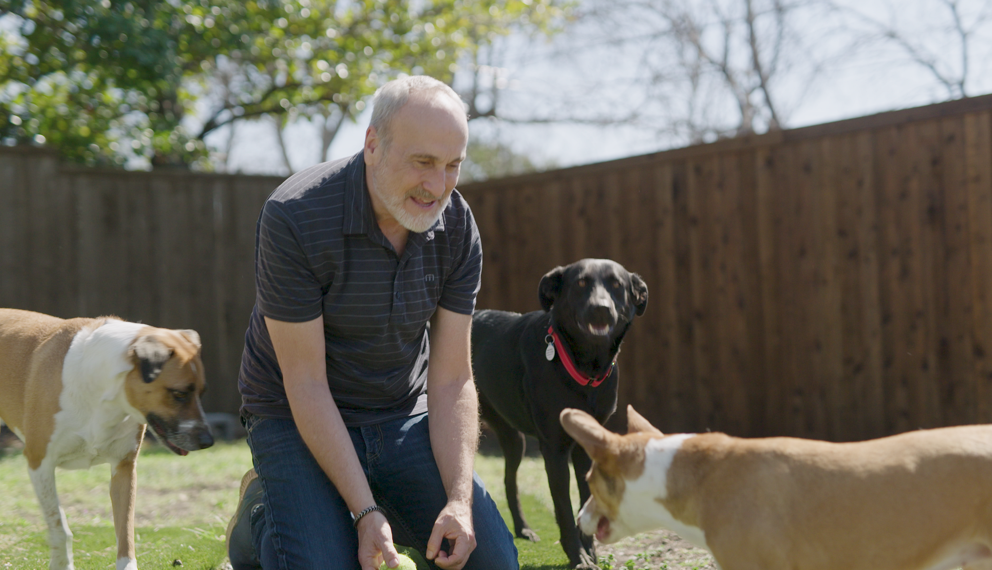 Stephen Knight with his dogs Stephen Knight with his dogs