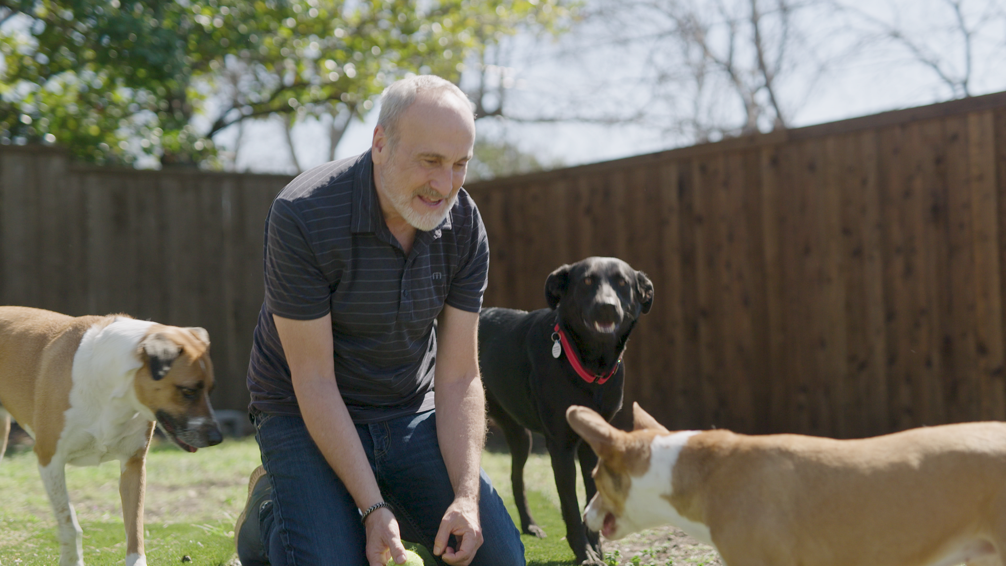 Stephen Knight with his dogs 