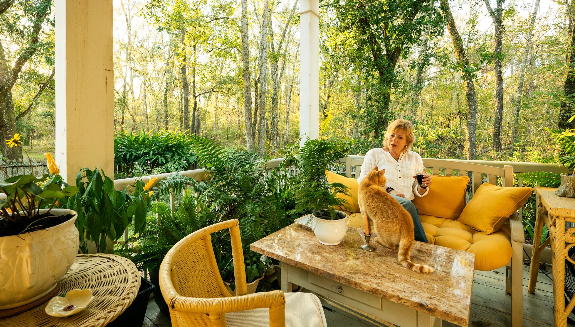 Tips For a Pet Safe Summer blond woman relaxes on the porch and pets a cat