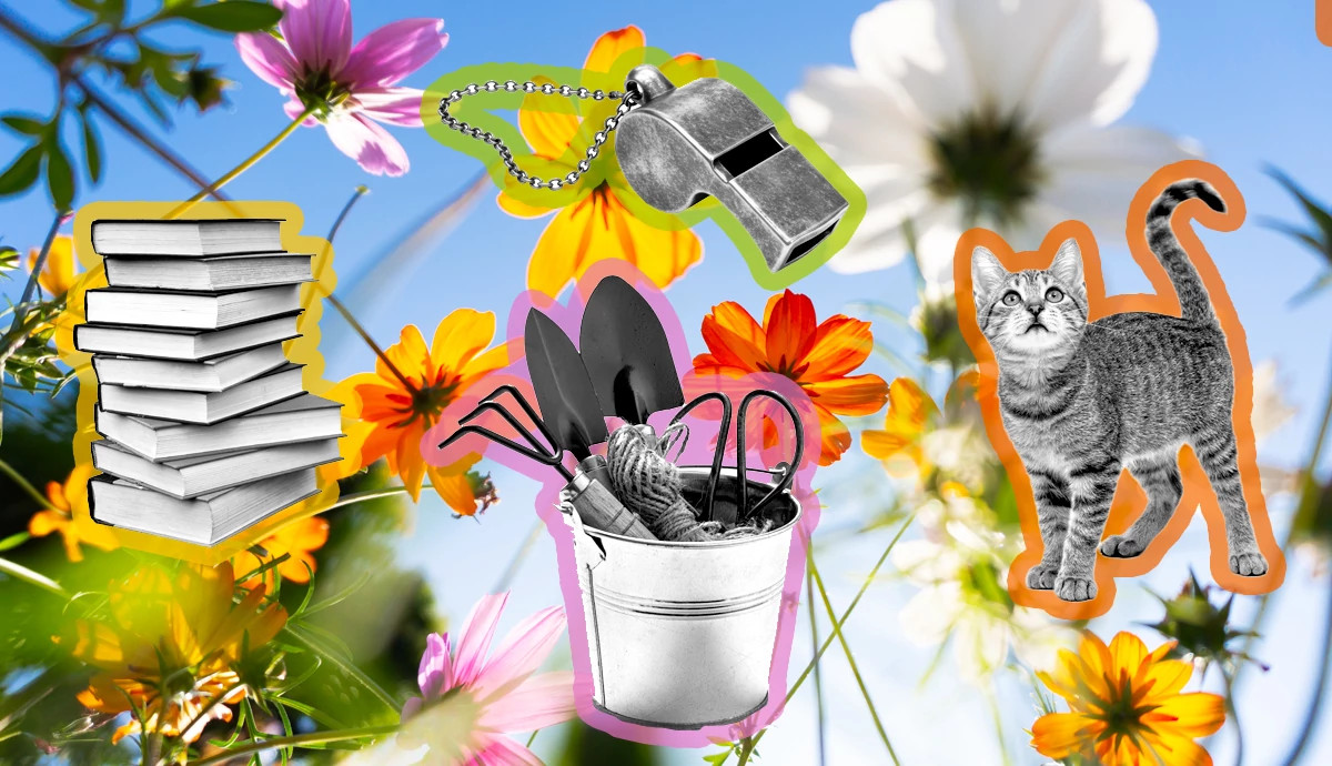 a stack of books, a bucket with gardening tools, a cat and a whistle overlaid on a picture of flowers