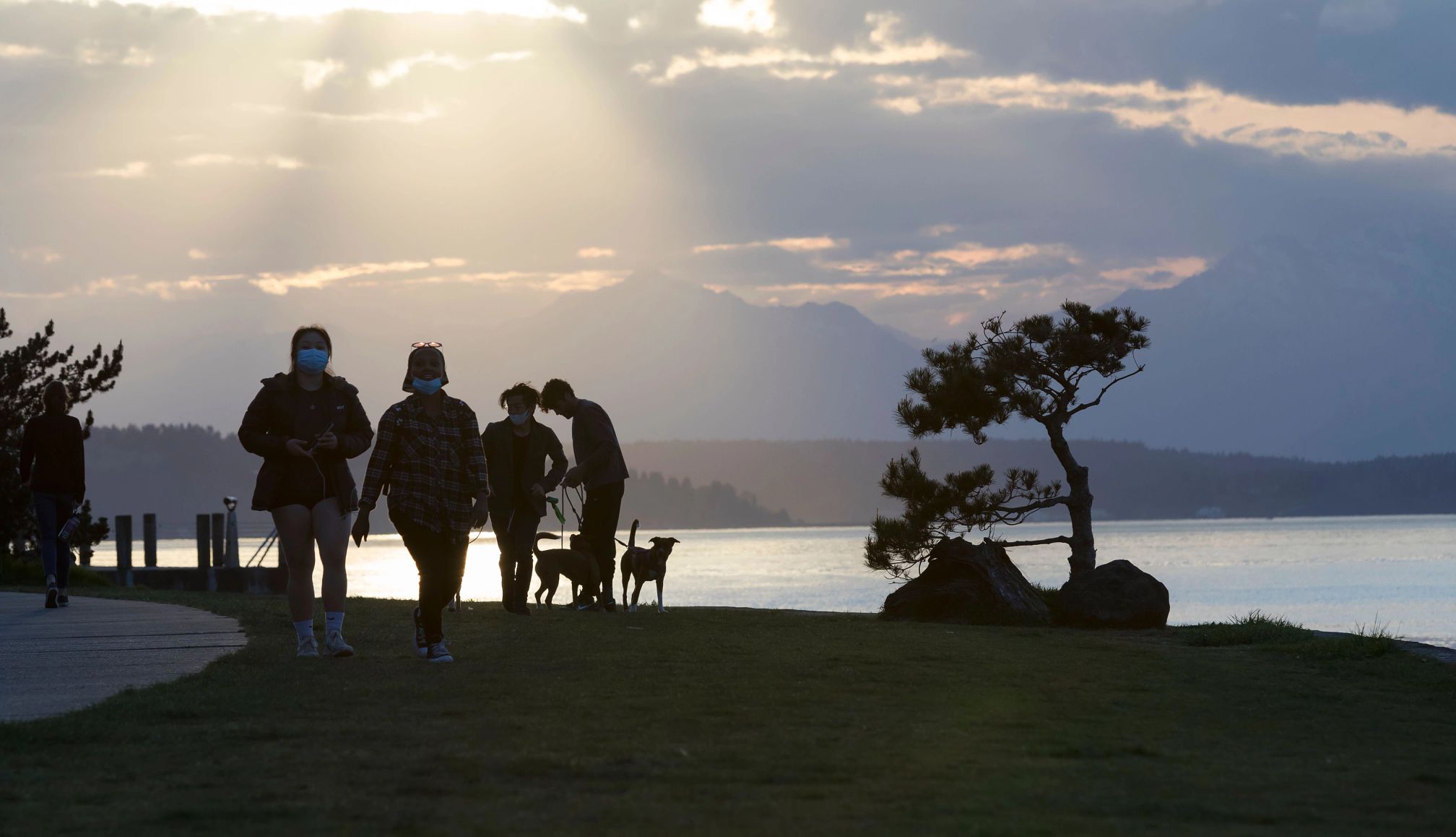 RVing with your dog people walking their dogs