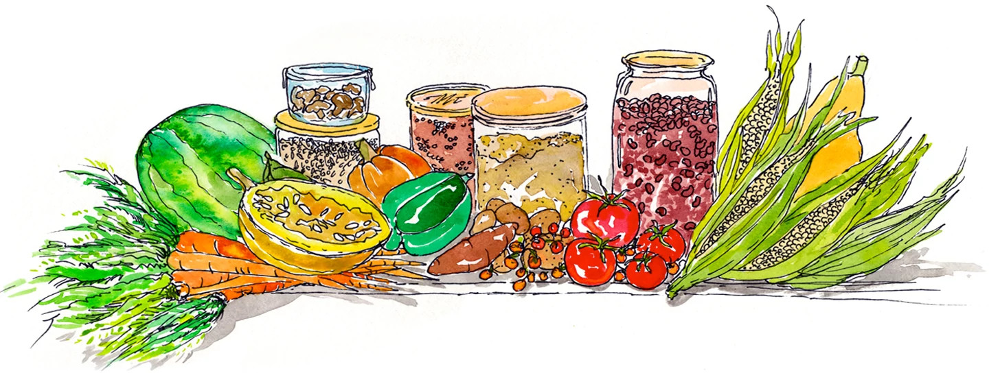 illustration of lectin free foods