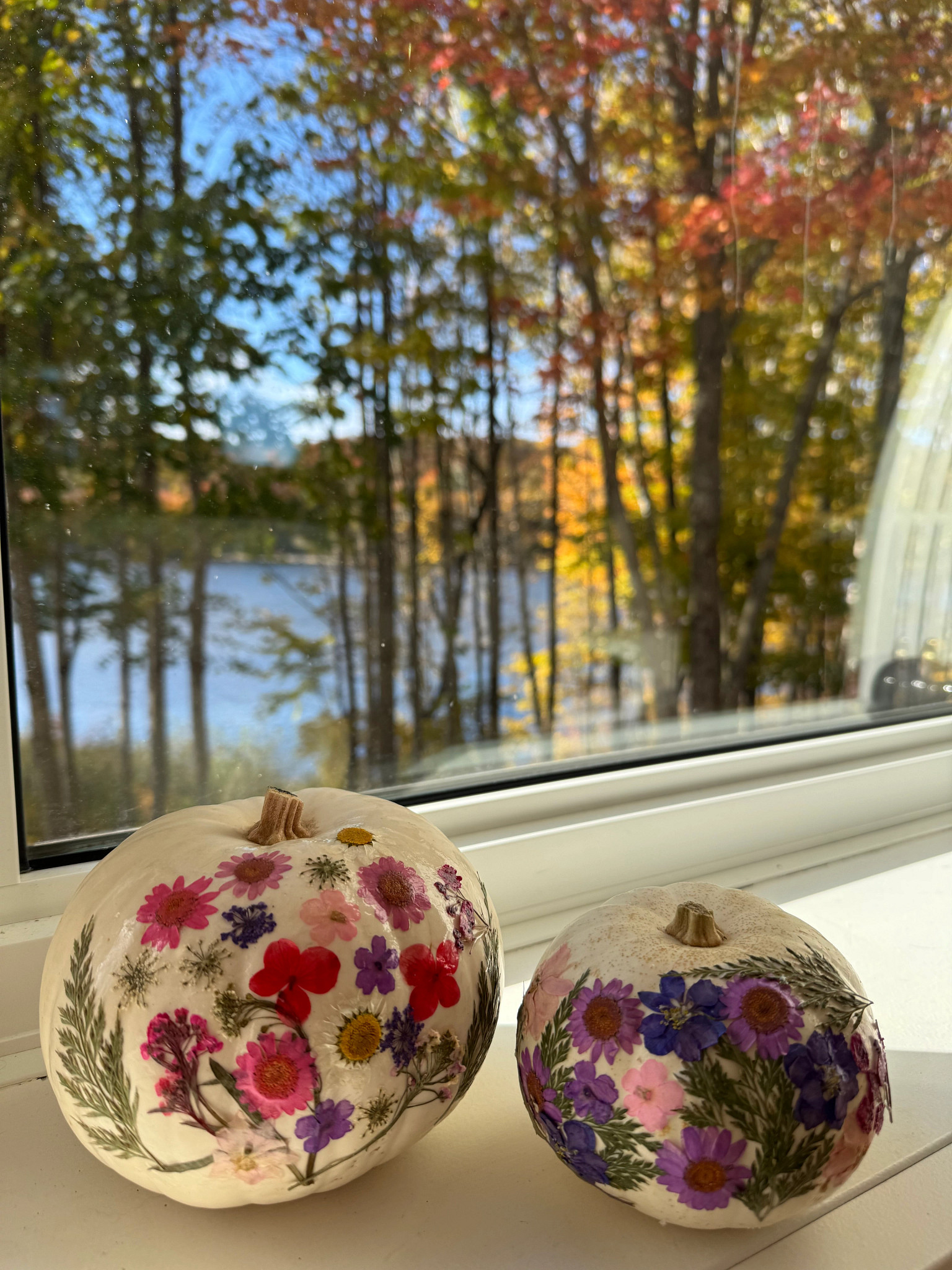 Two dried-floral pumpkins are displayed in front of a window looking with a view of trees leading to a lake