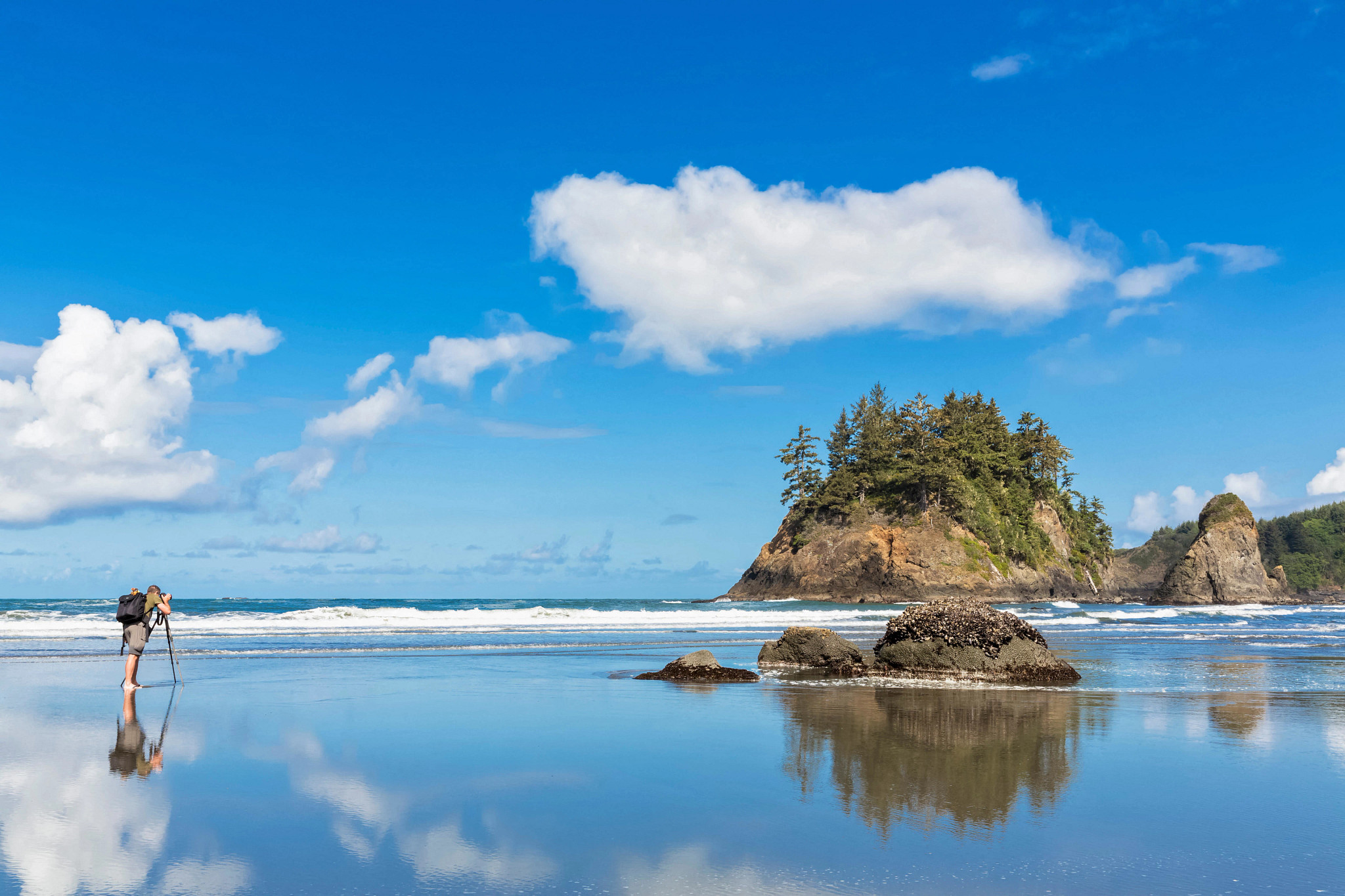Trinidad State Beach