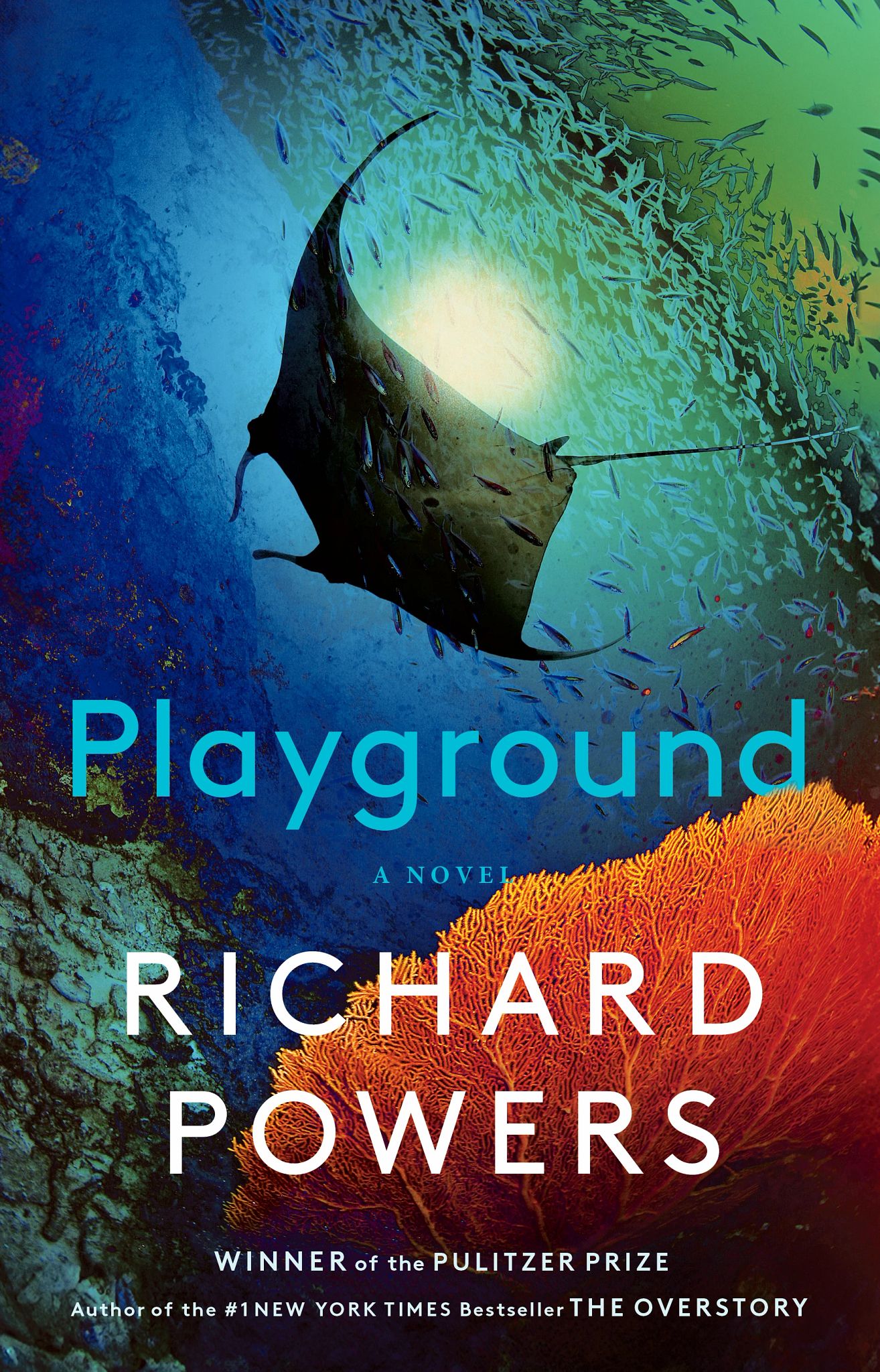 Great Reads Now in Paperback the cover of the book playground